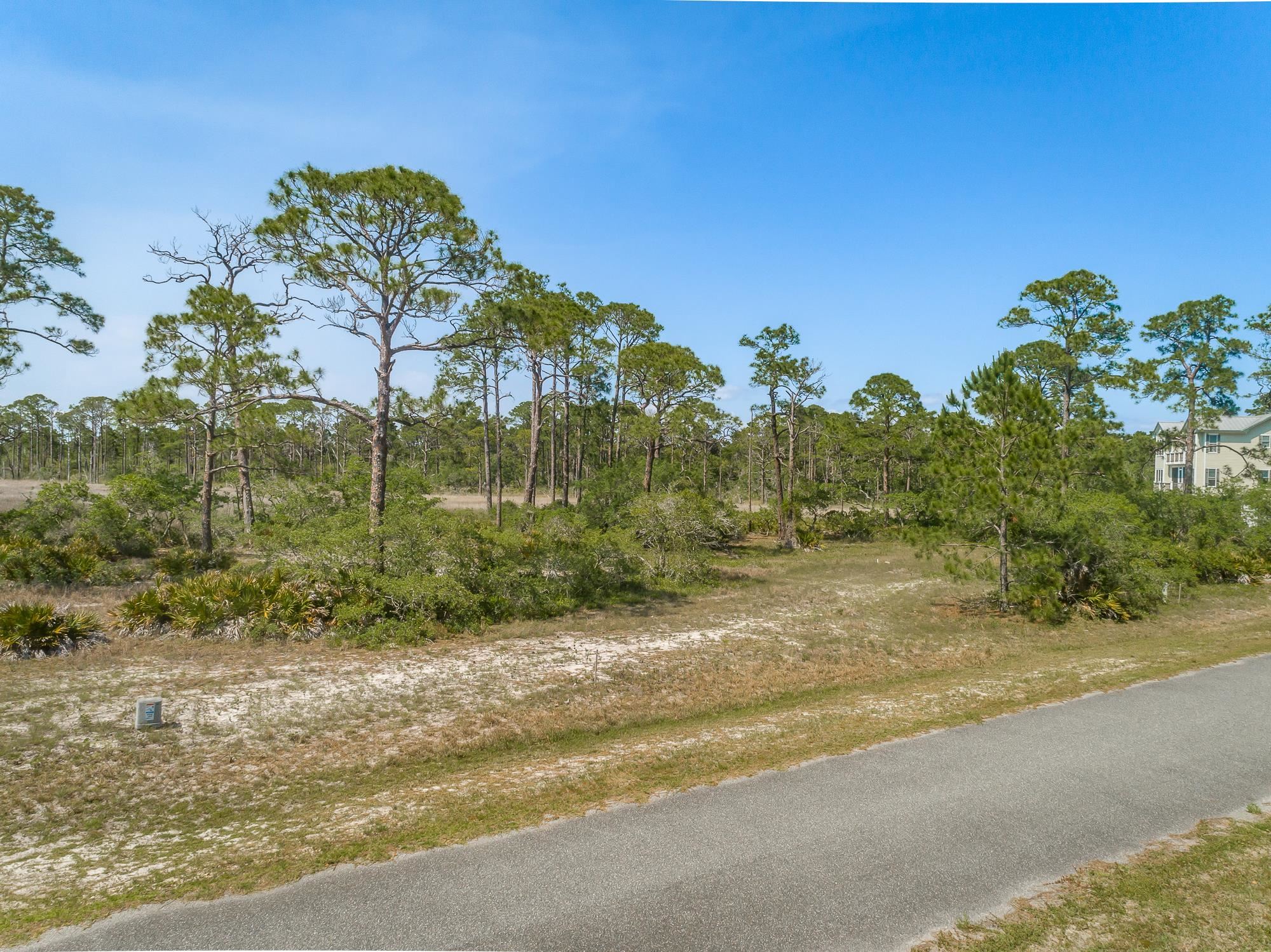 149 Hidden Harbor Drive, ALLIGATOR POINT, Florida image 6