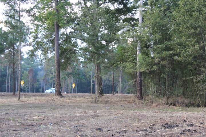 Fla-ga-hwy Highway, Havana, Florida image 11