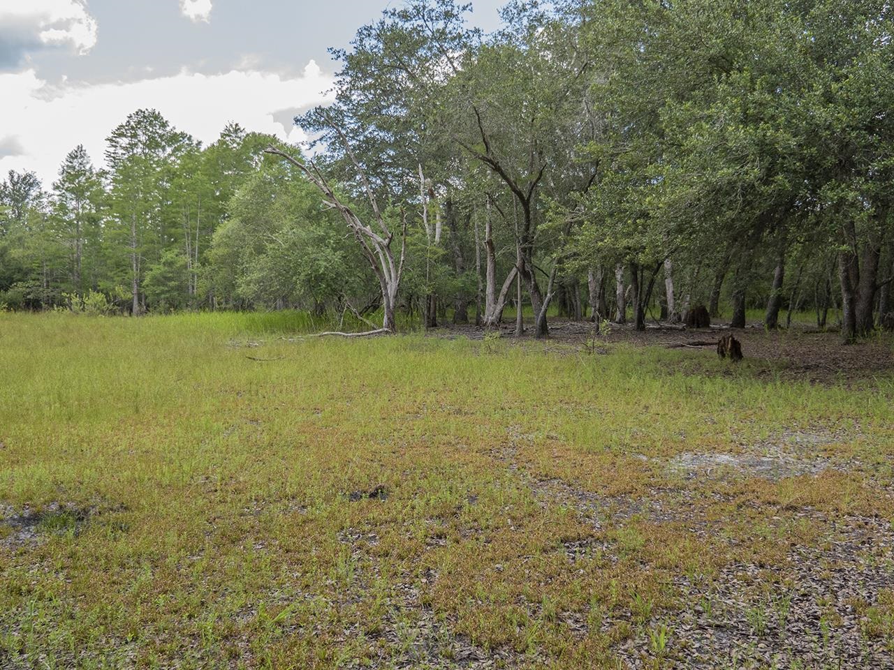 Vacant SW Hike Lake Road, Madison, Florida image 23