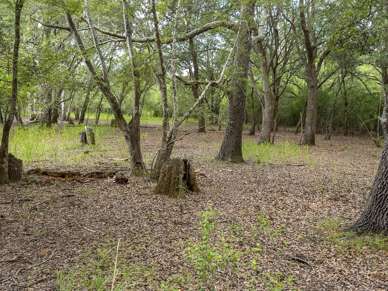 Vacant SW Hike Lake Road, Madison, Florida image 24