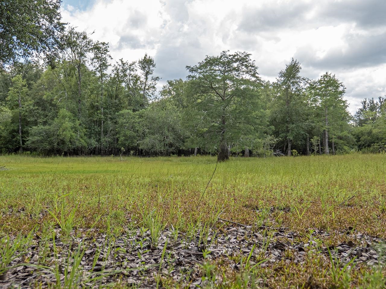 Vacant SW Hike Lake Road, Madison, Florida image 26