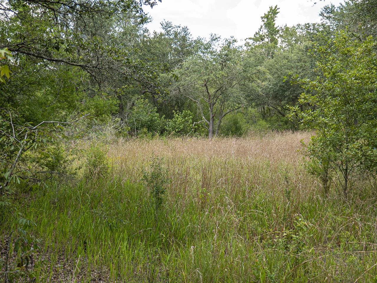 Vacant SW Hike Lake Road, Madison, Florida image 28