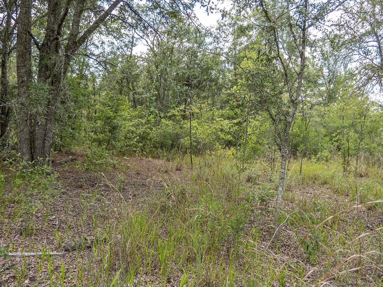 Vacant SW Hike Lake Road, Madison, Florida image 30