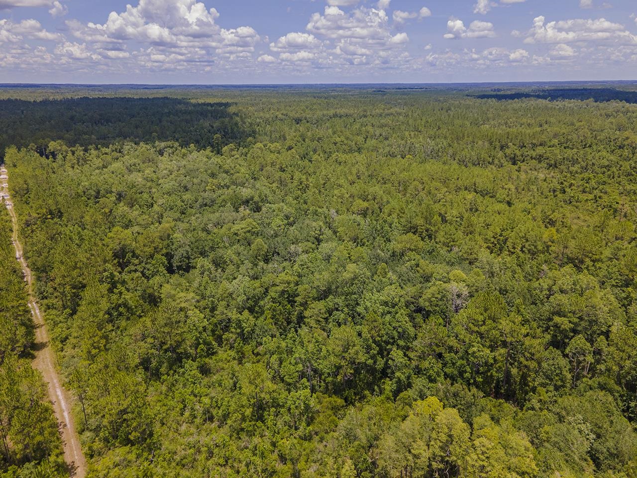 Vacant SW Hike Lake Road, Madison, Florida image 31