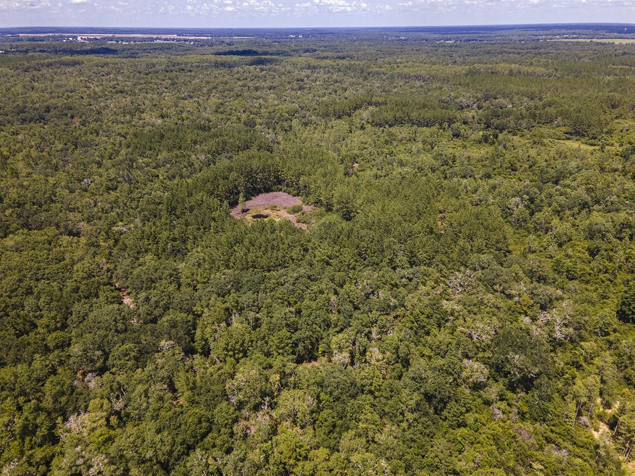 Vacant SW Hike Lake Road, Madison, Florida image 32