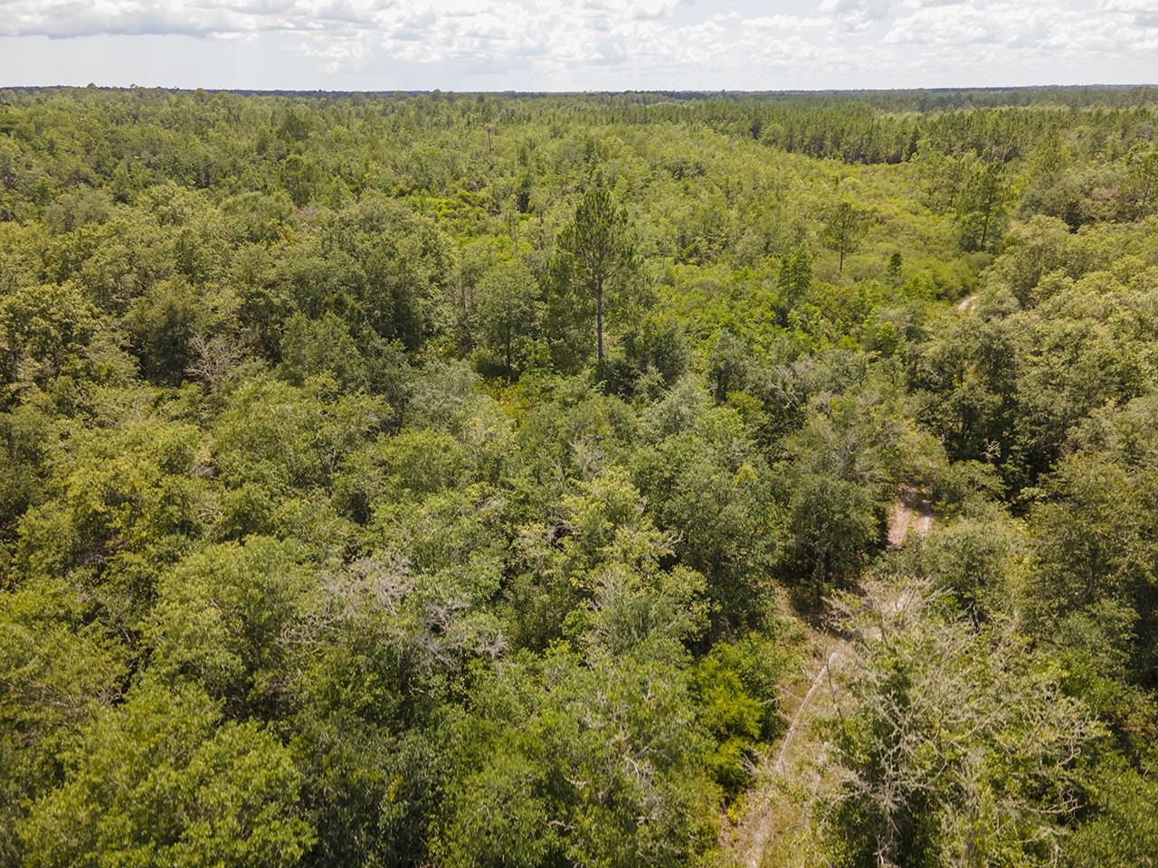 Vacant SW Hike Lake Road, Madison, Florida image 33