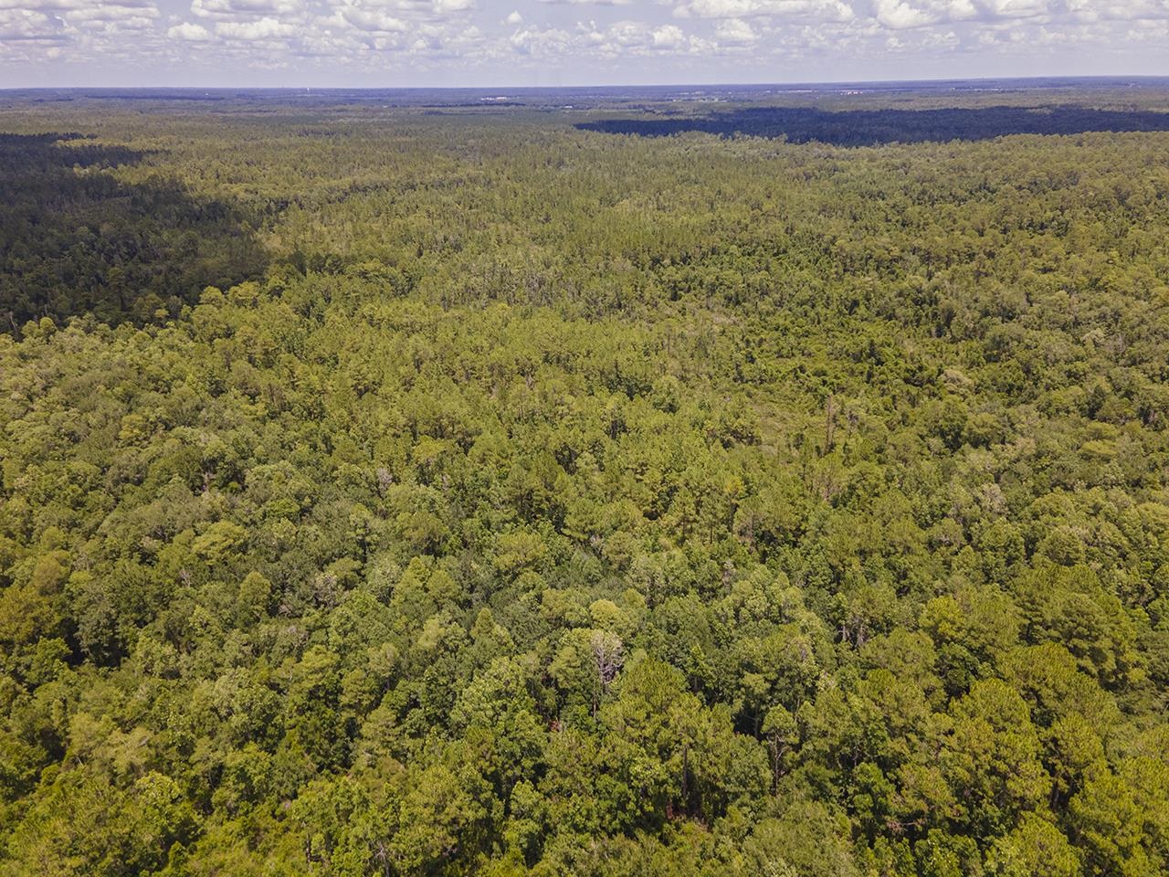 Vacant SW Hike Lake Road, Madison, Florida image 34