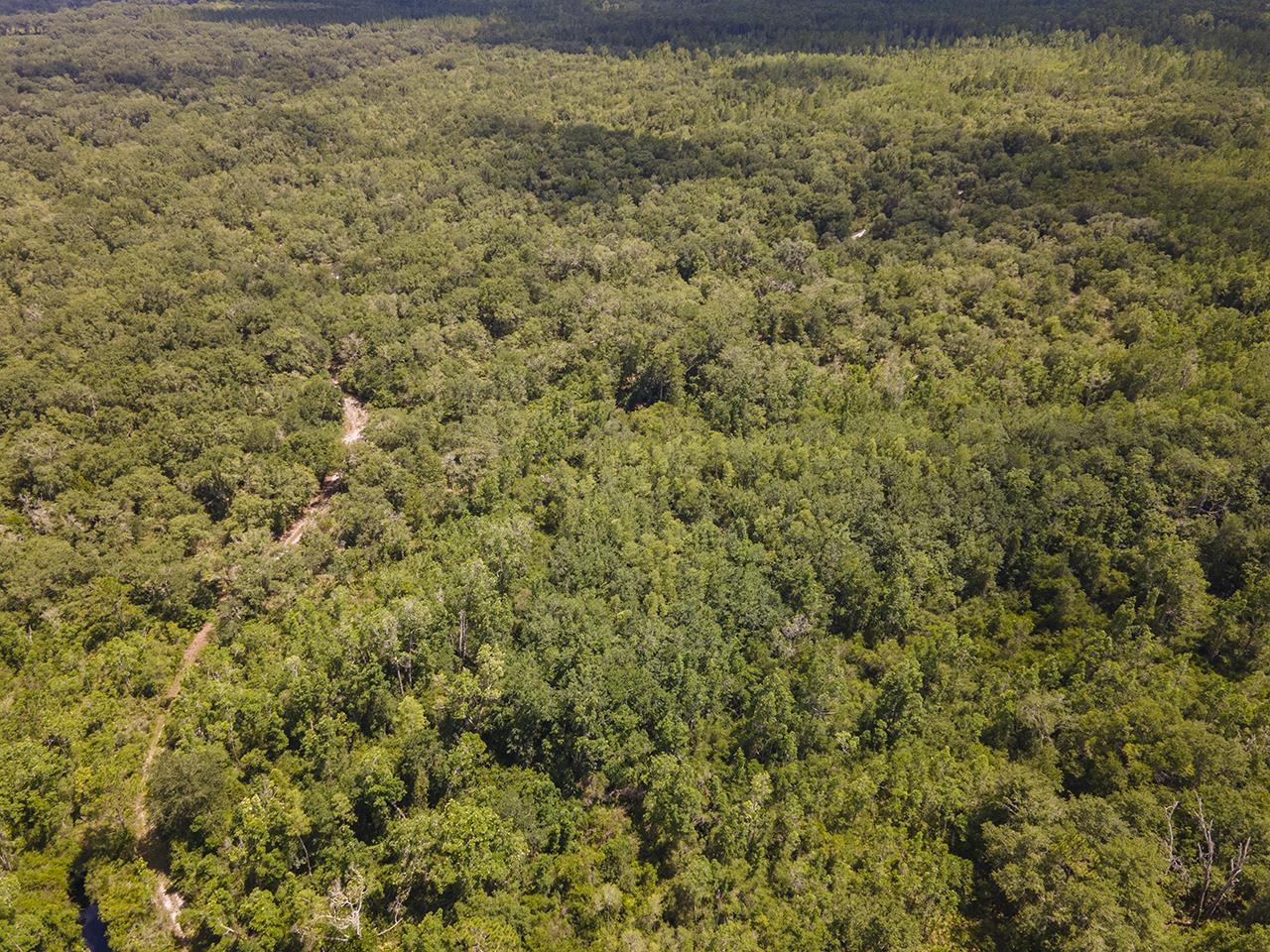 Vacant SW Hike Lake Road, Madison, Florida image 35