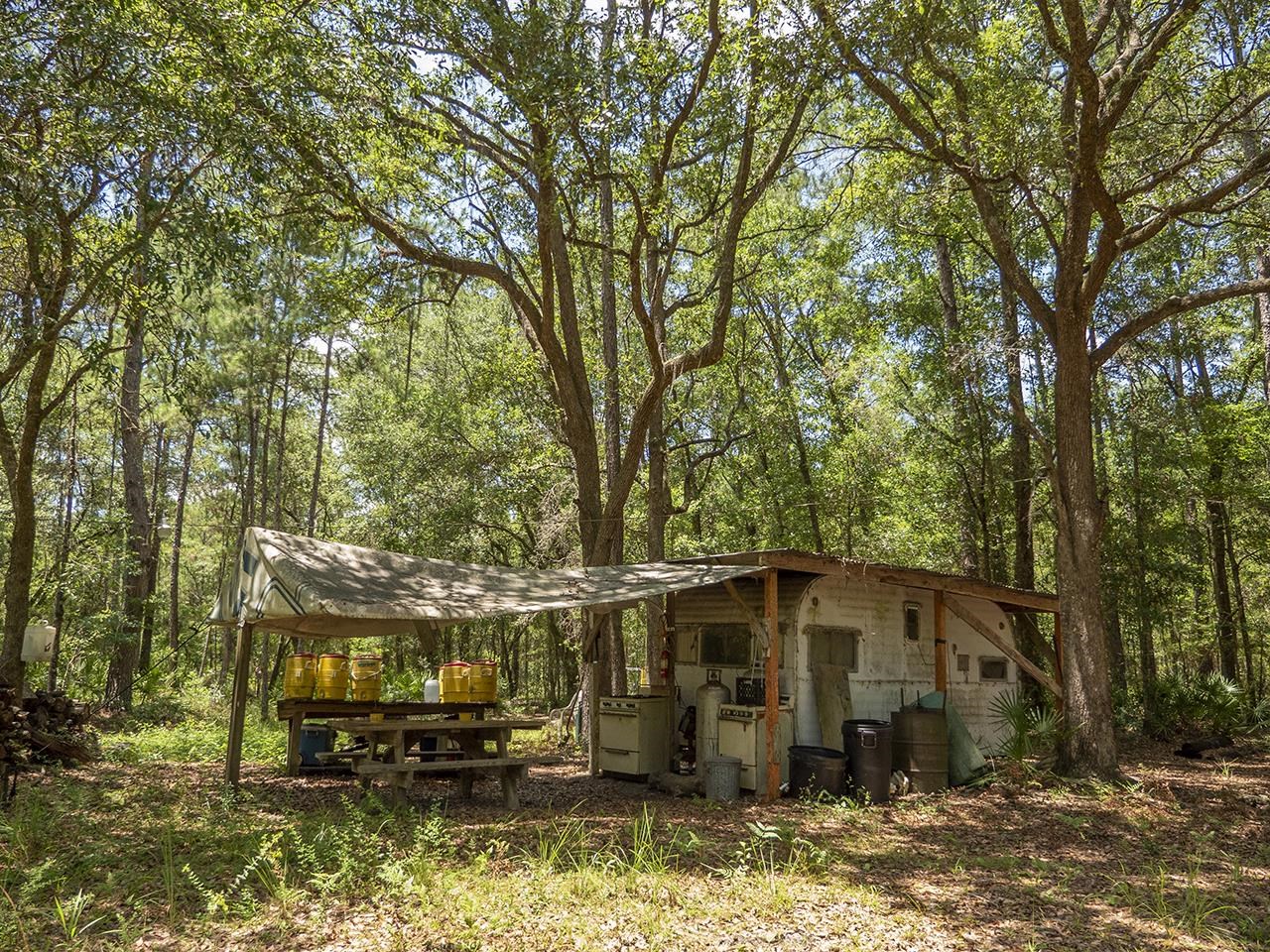 Vacant SW Hike Lake Road, Madison, Florida image 4