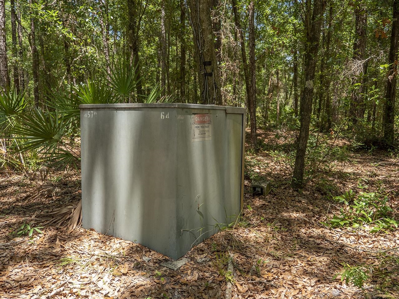 Vacant SW Hike Lake Road, Madison, Florida image 6