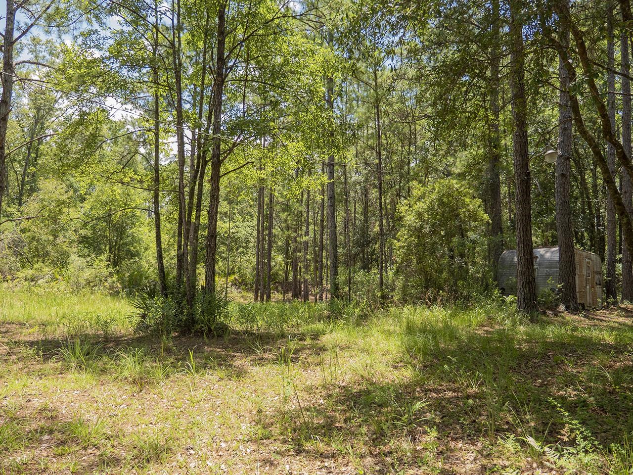 Vacant SW Hike Lake Road, Madison, Florida image 7