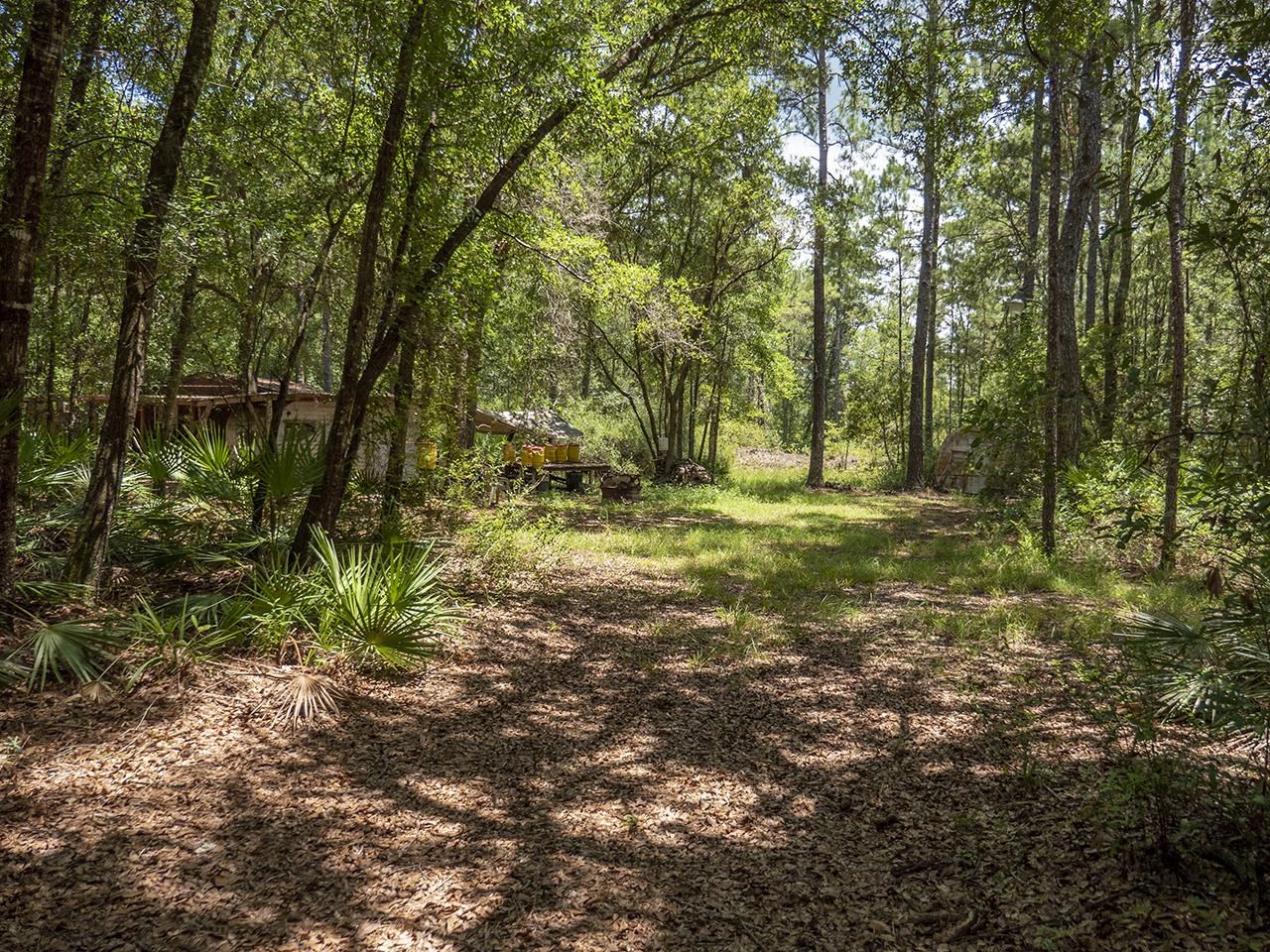 Vacant SW Hike Lake Road, Madison, Florida image 8