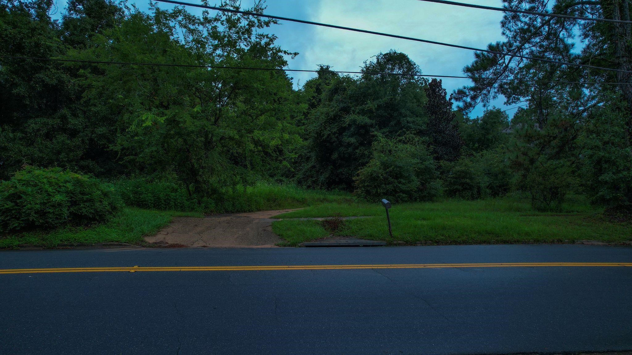 2993 Raymond Diehl Road, Tallahassee, Florida image 2
