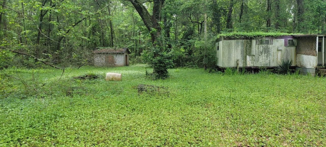 170 Ellis Road, Tallahassee, Florida image 2