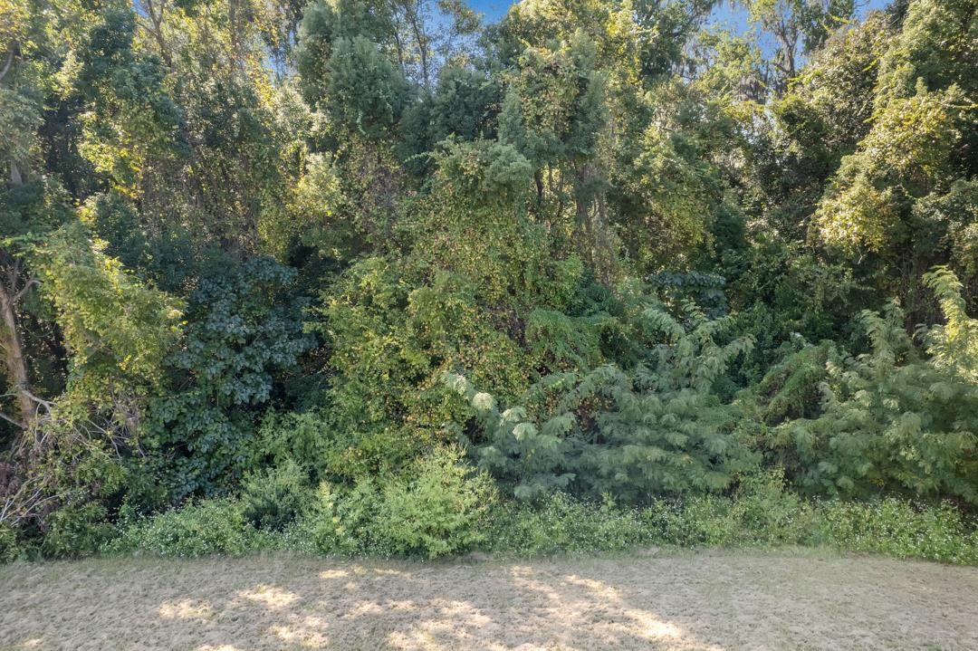 Fred George Road, Tallahassee, Florida image 11