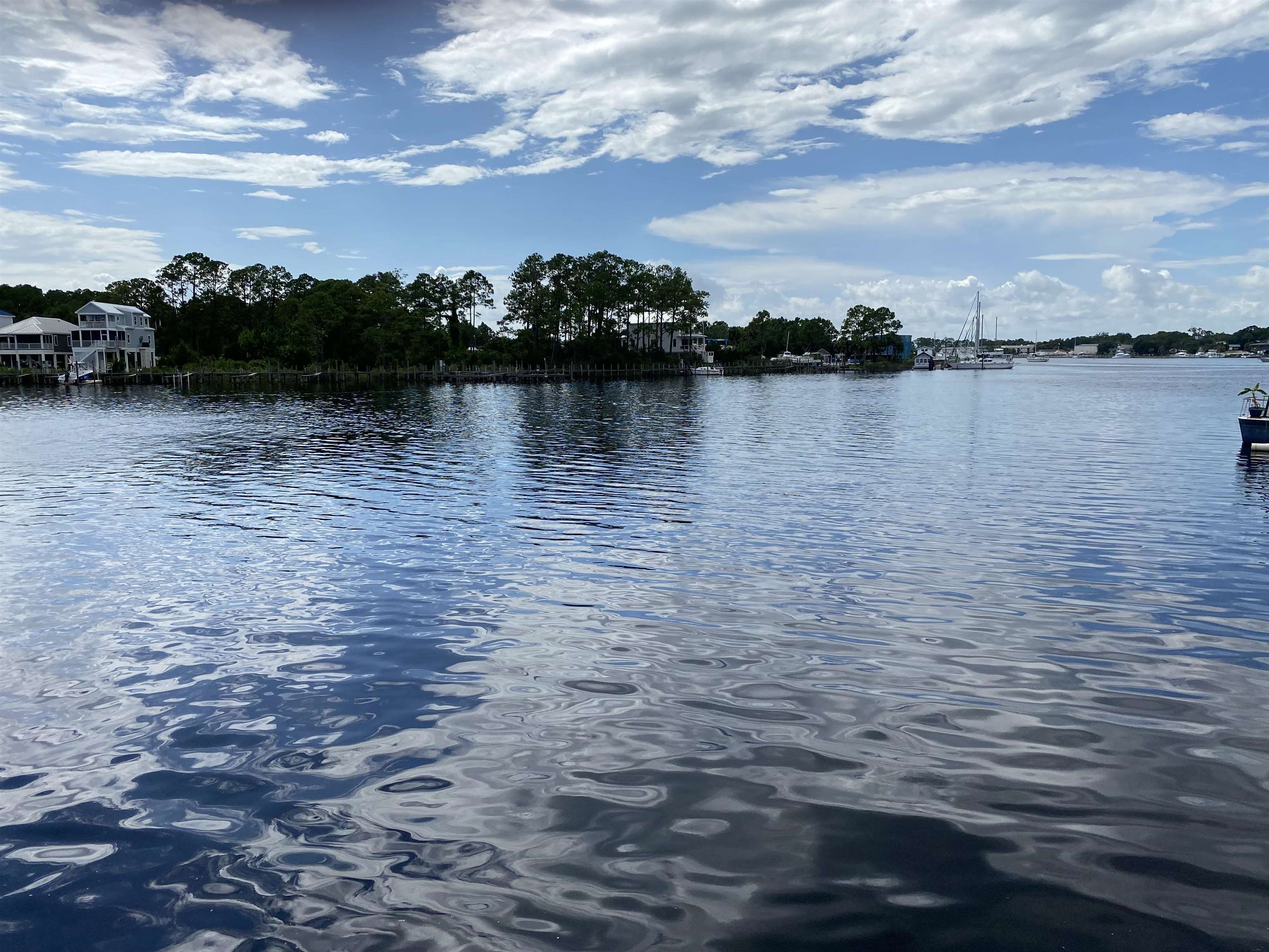 115 Timber Lane, CARRABELLE, Florida image 6