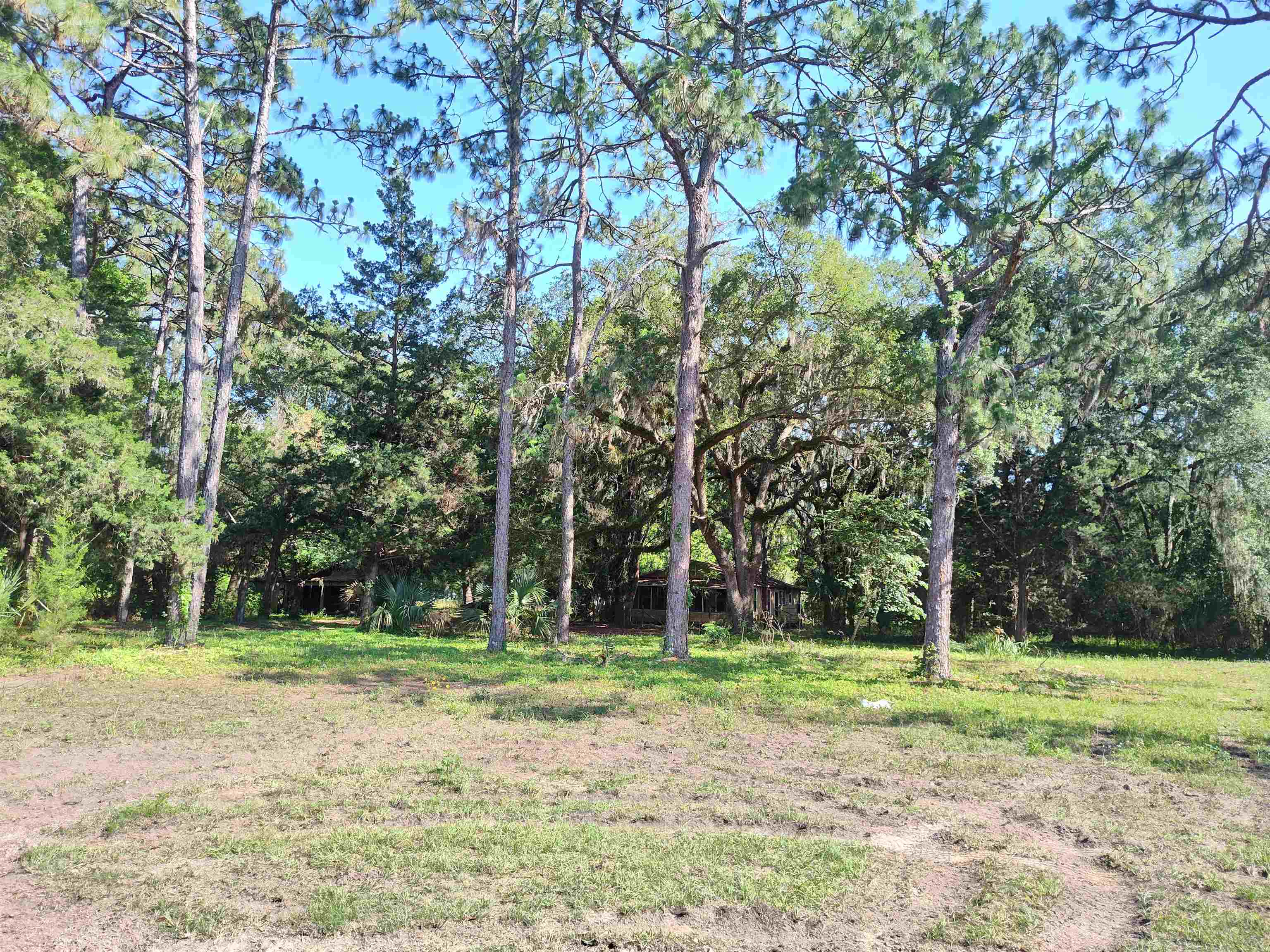 1618 Golf Course Road, Perry, Florida image 10