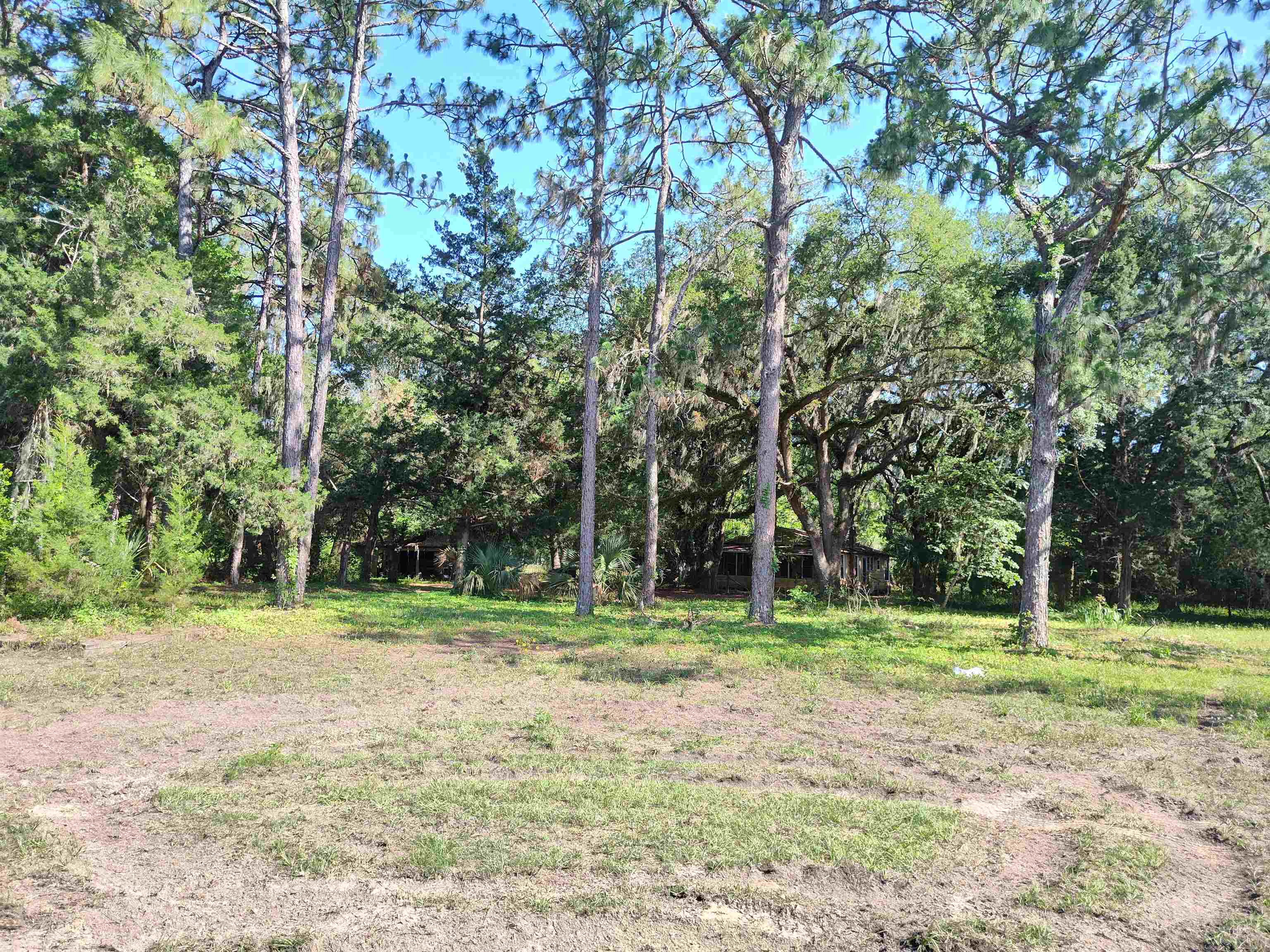 1618 Golf Course Road, Perry, Florida image 11