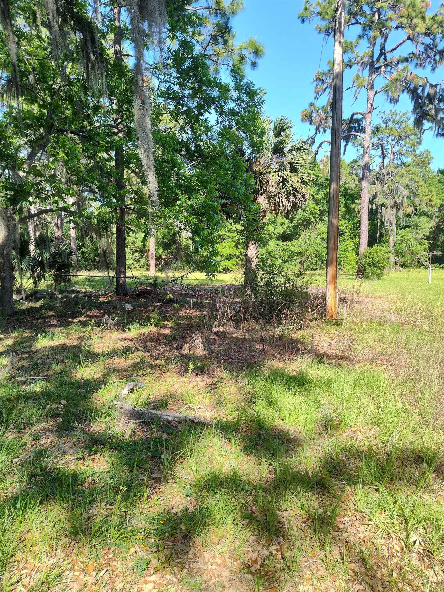 1618 Golf Course Road, Perry, Florida image 13