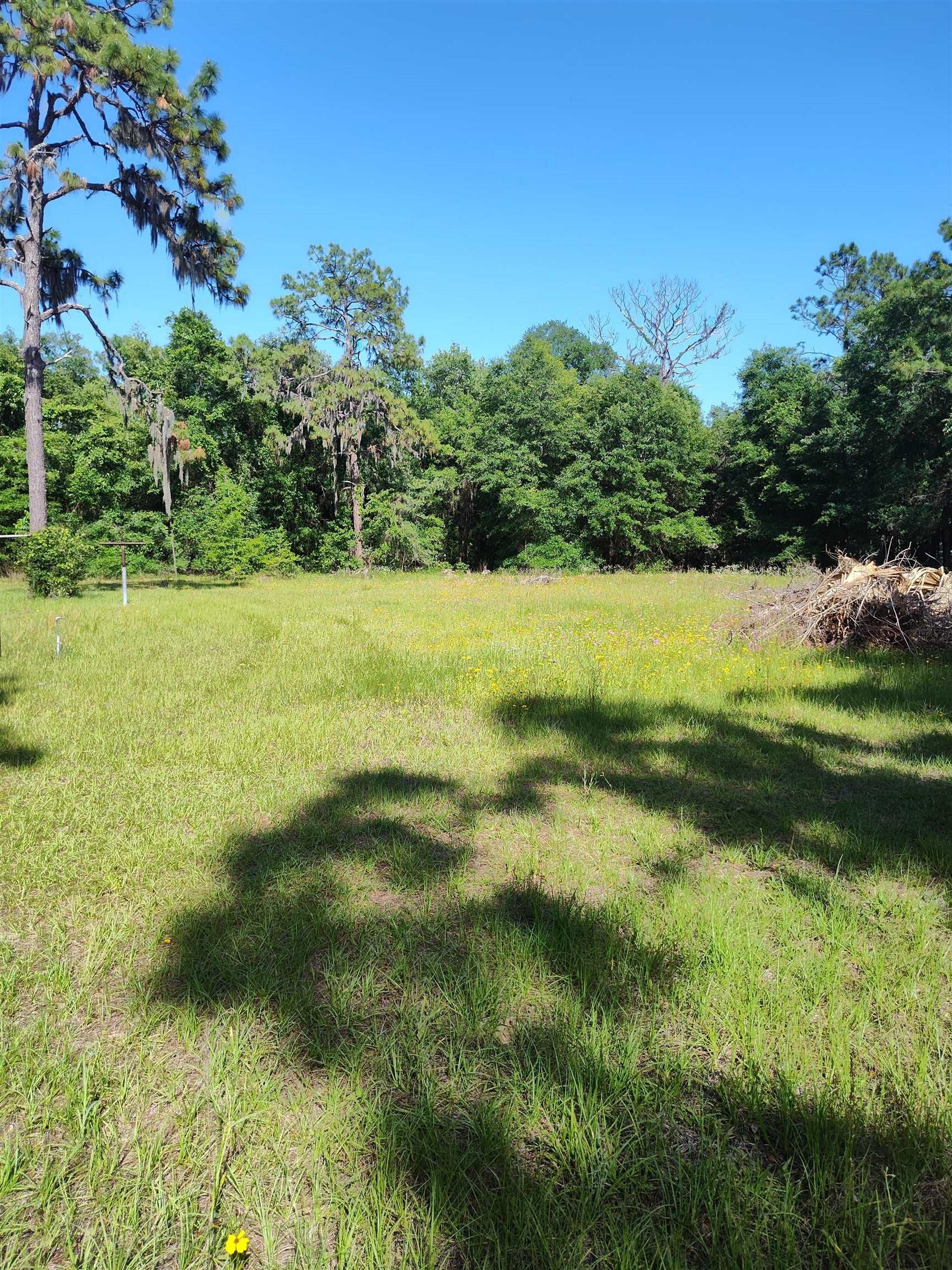 1618 Golf Course Road, Perry, Florida image 14