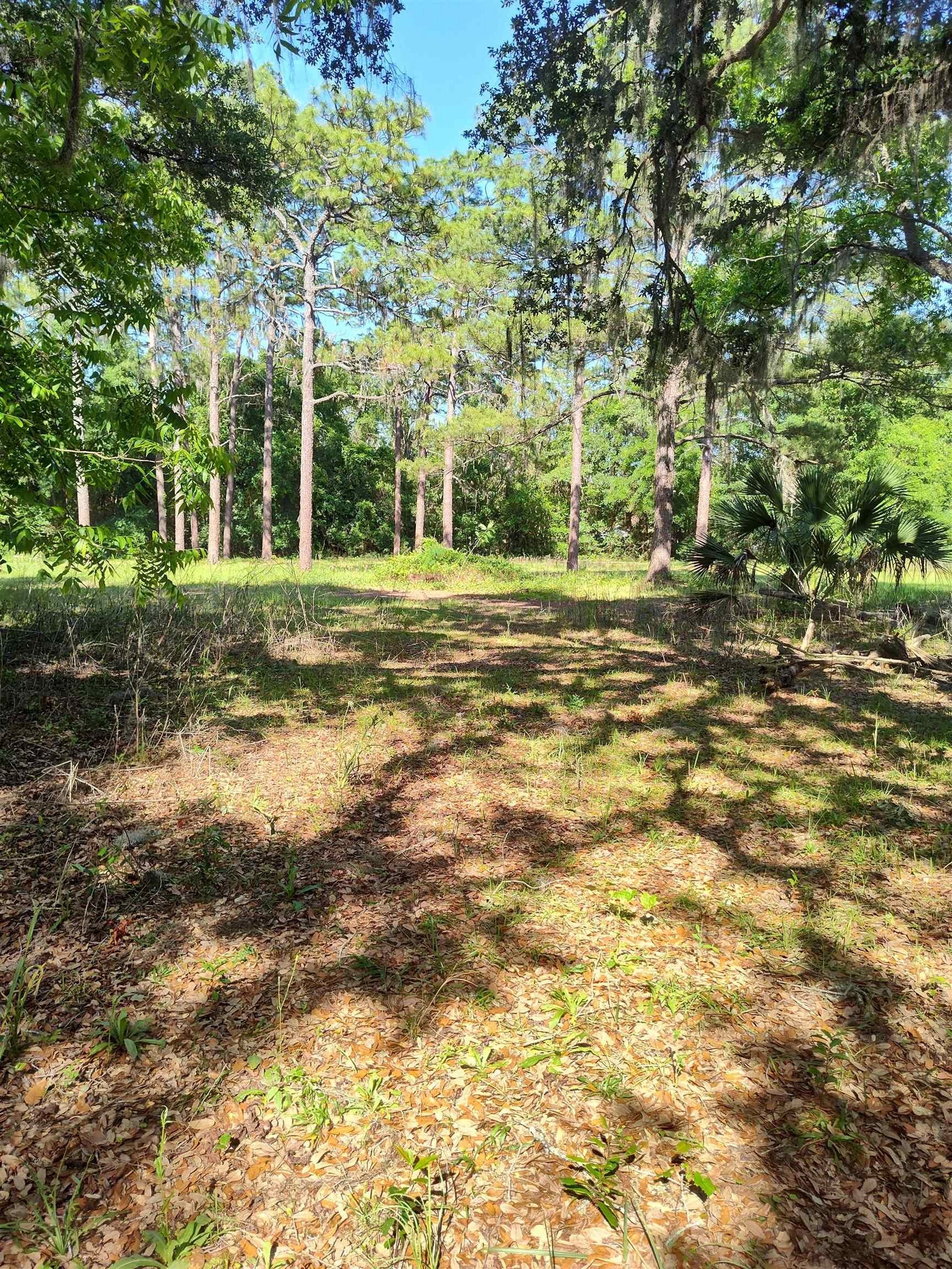 1618 Golf Course Road, Perry, Florida image 15