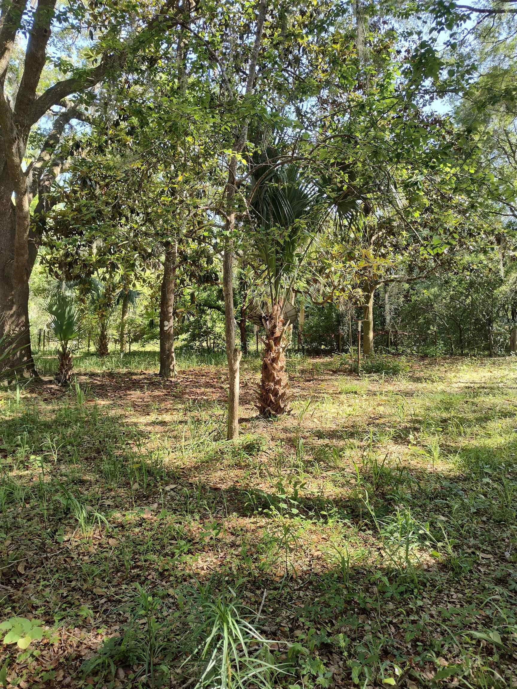 1618 Golf Course Road, Perry, Florida image 16