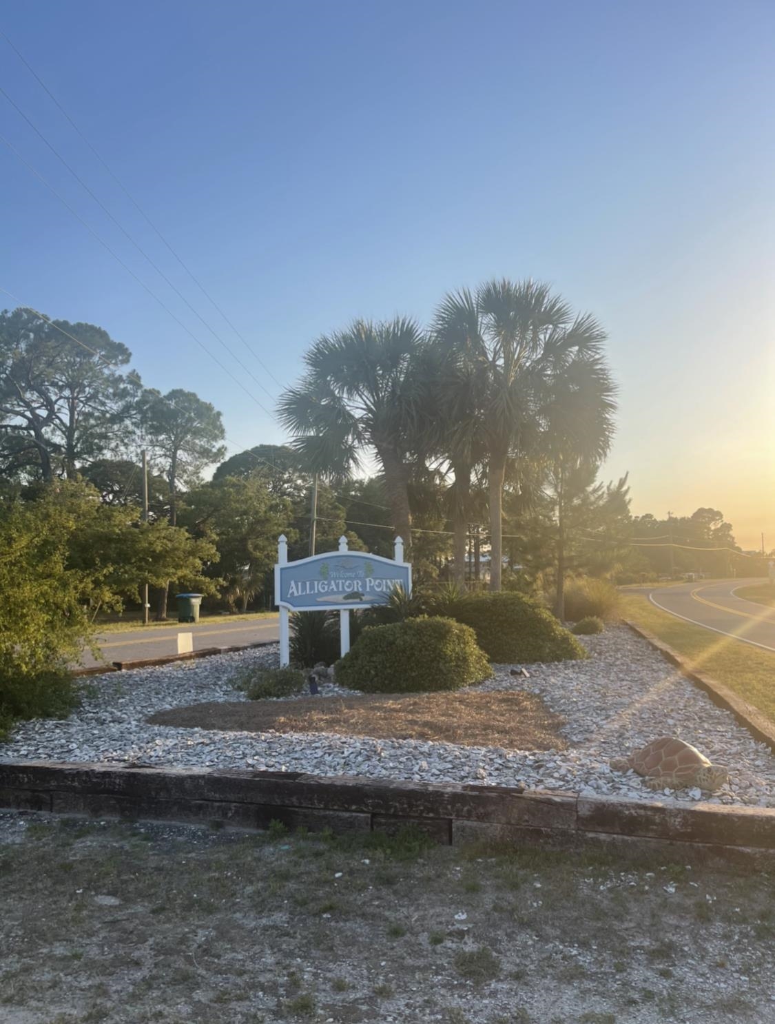 1029 Gulf Shore Boulevard, ALLIGATOR POINT, Florida image 4