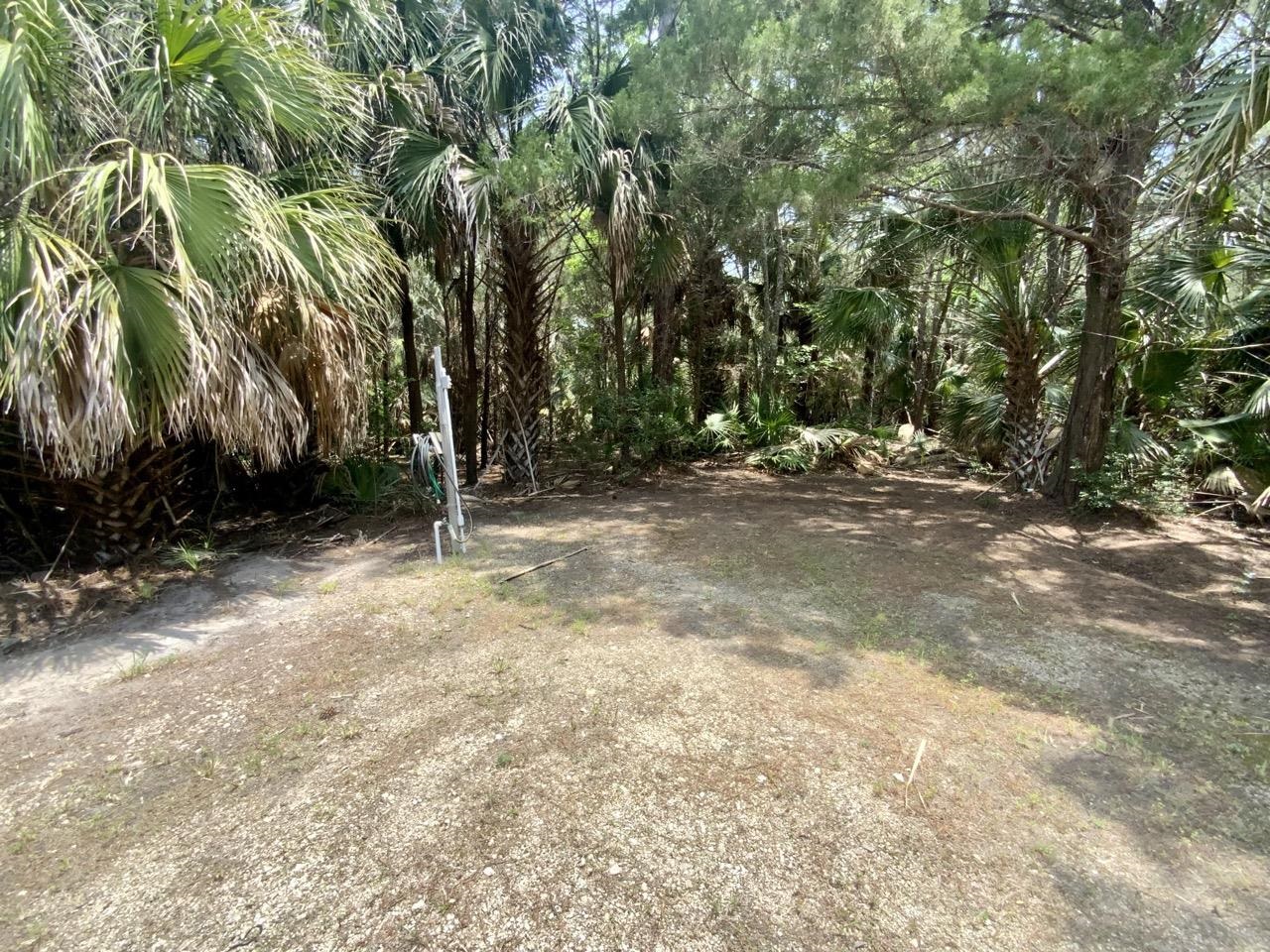 20000 Mossy Hammock Grade, Lamont, Florida image 15