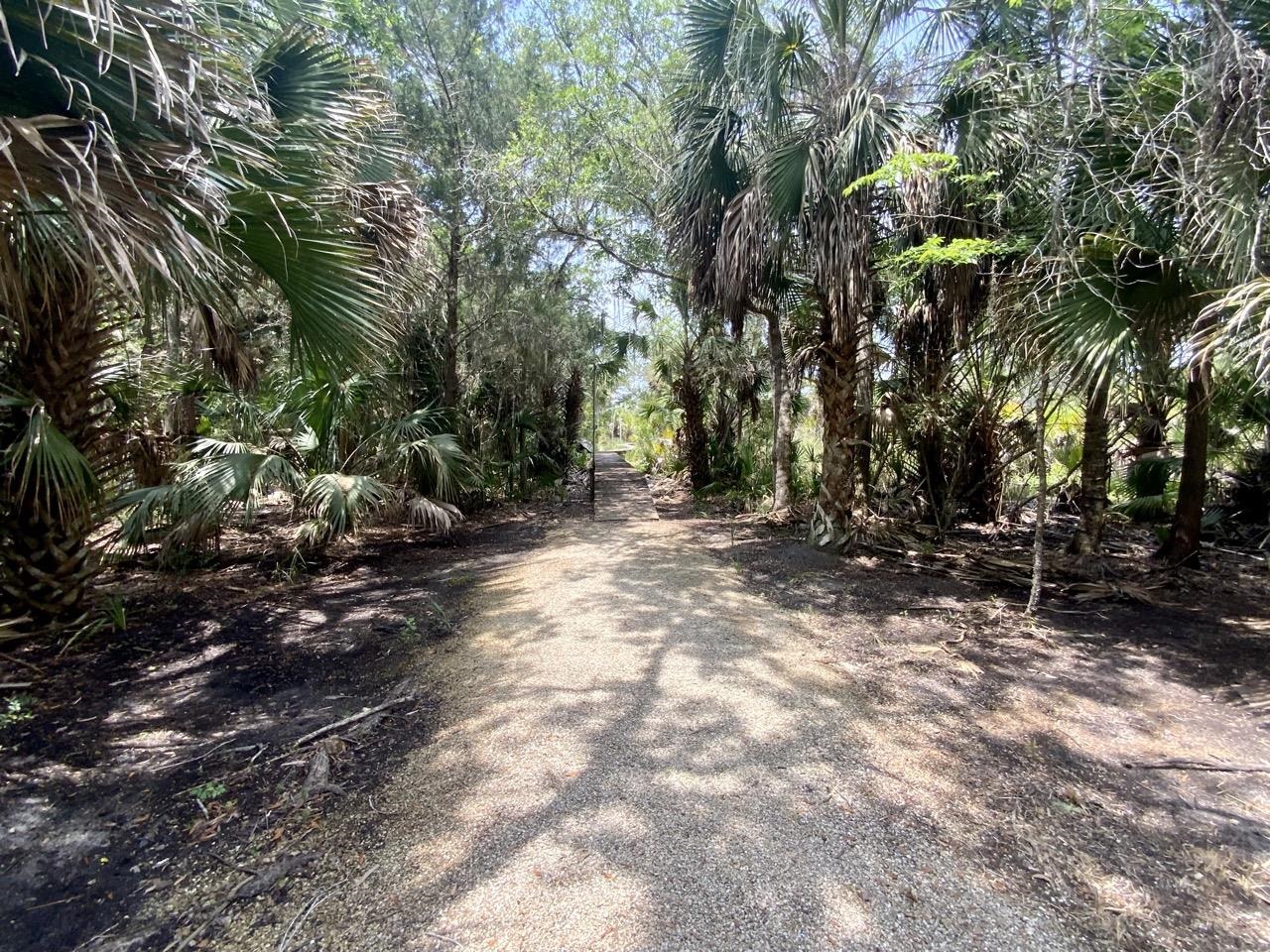 20000 Mossy Hammock Grade, Lamont, Florida image 16