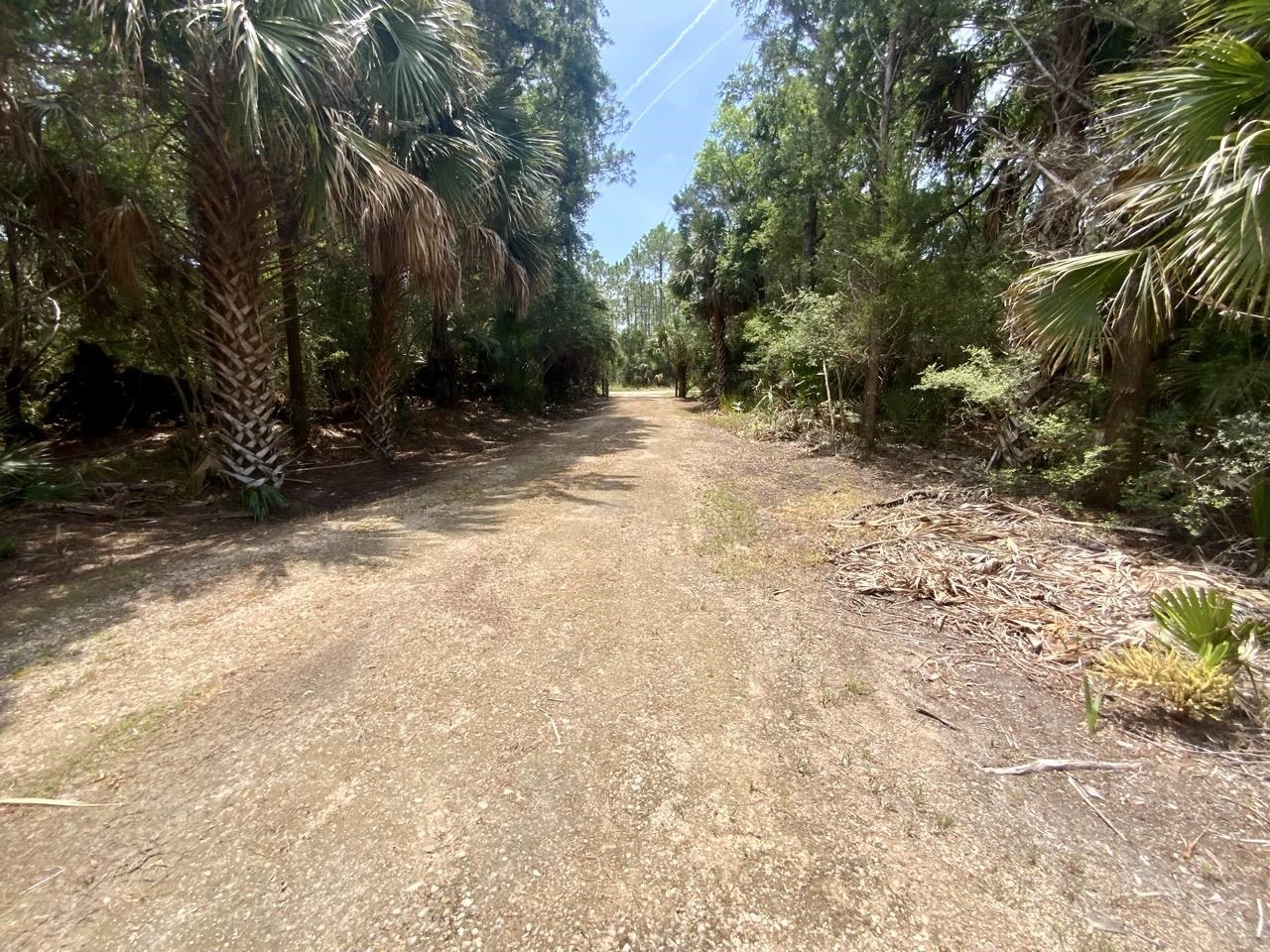 20000 Mossy Hammock Grade, Lamont, Florida image 17