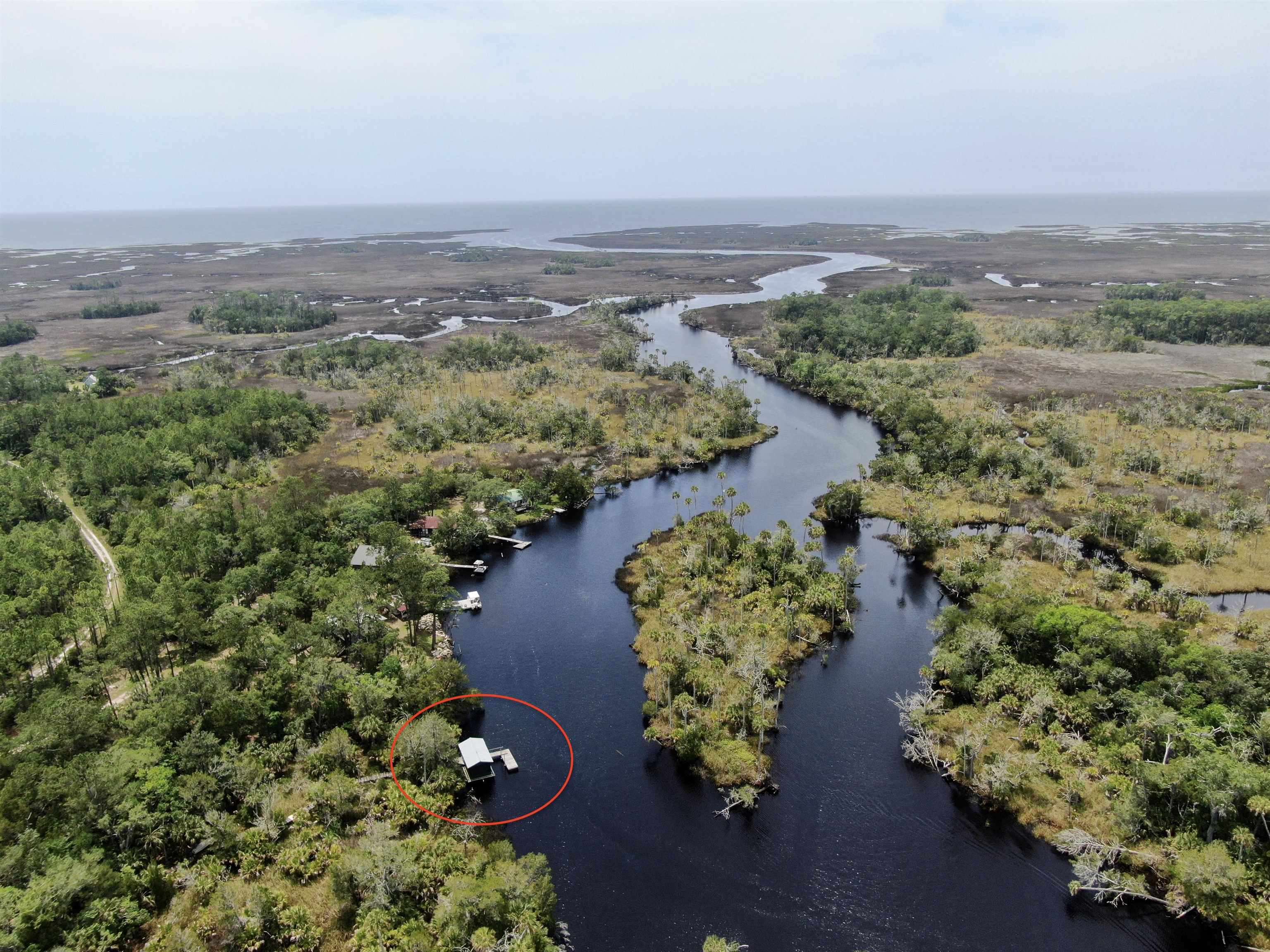 20000 Mossy Hammock Grade, Lamont, Florida image 18