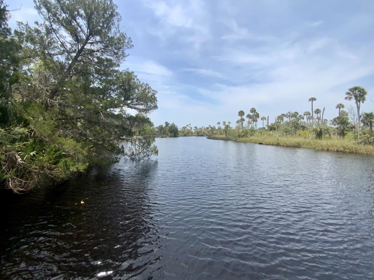 20000 Mossy Hammock Grade, Lamont, Florida image 20