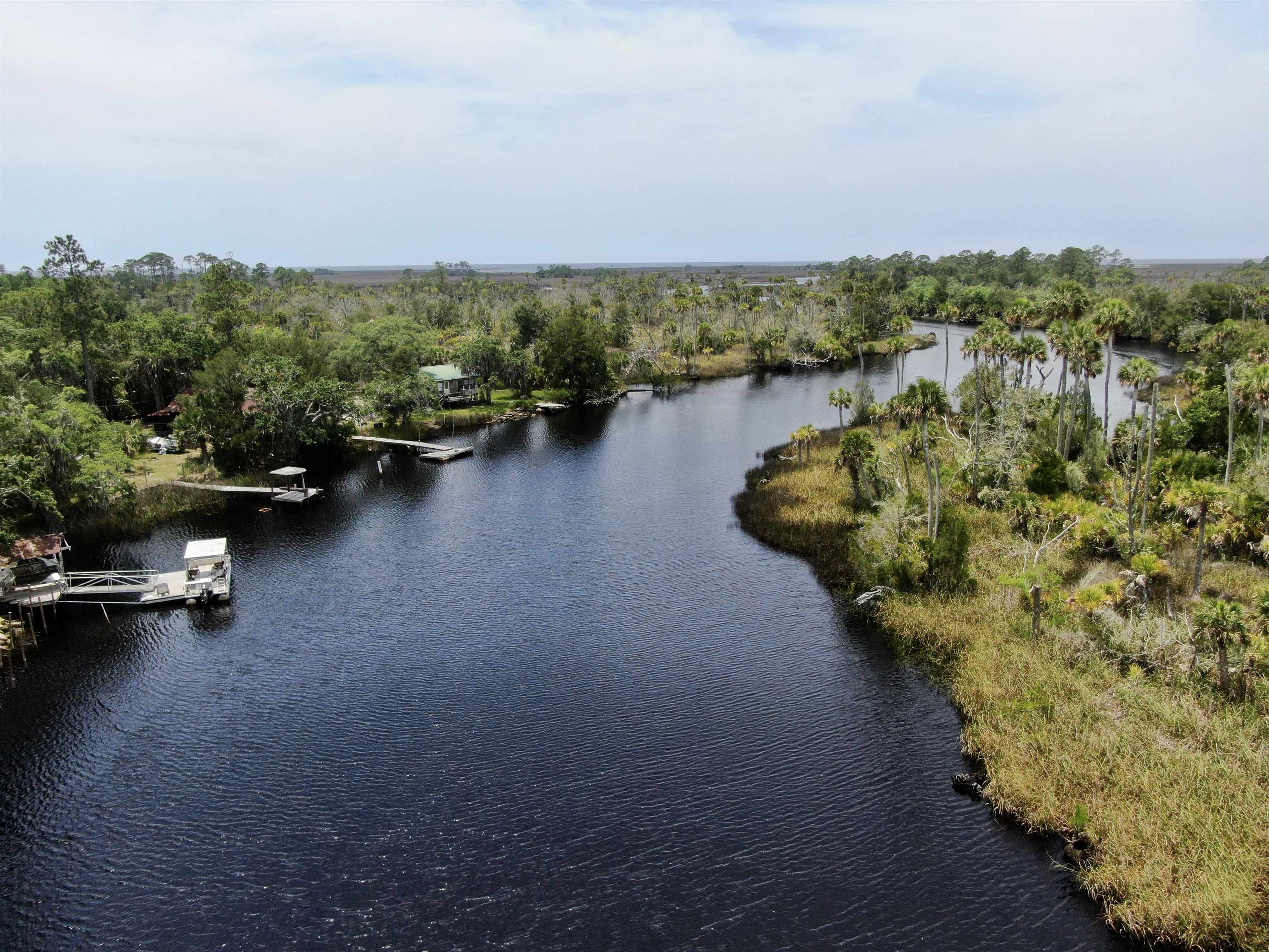 20000 Mossy Hammock Grade, Lamont, Florida image 22