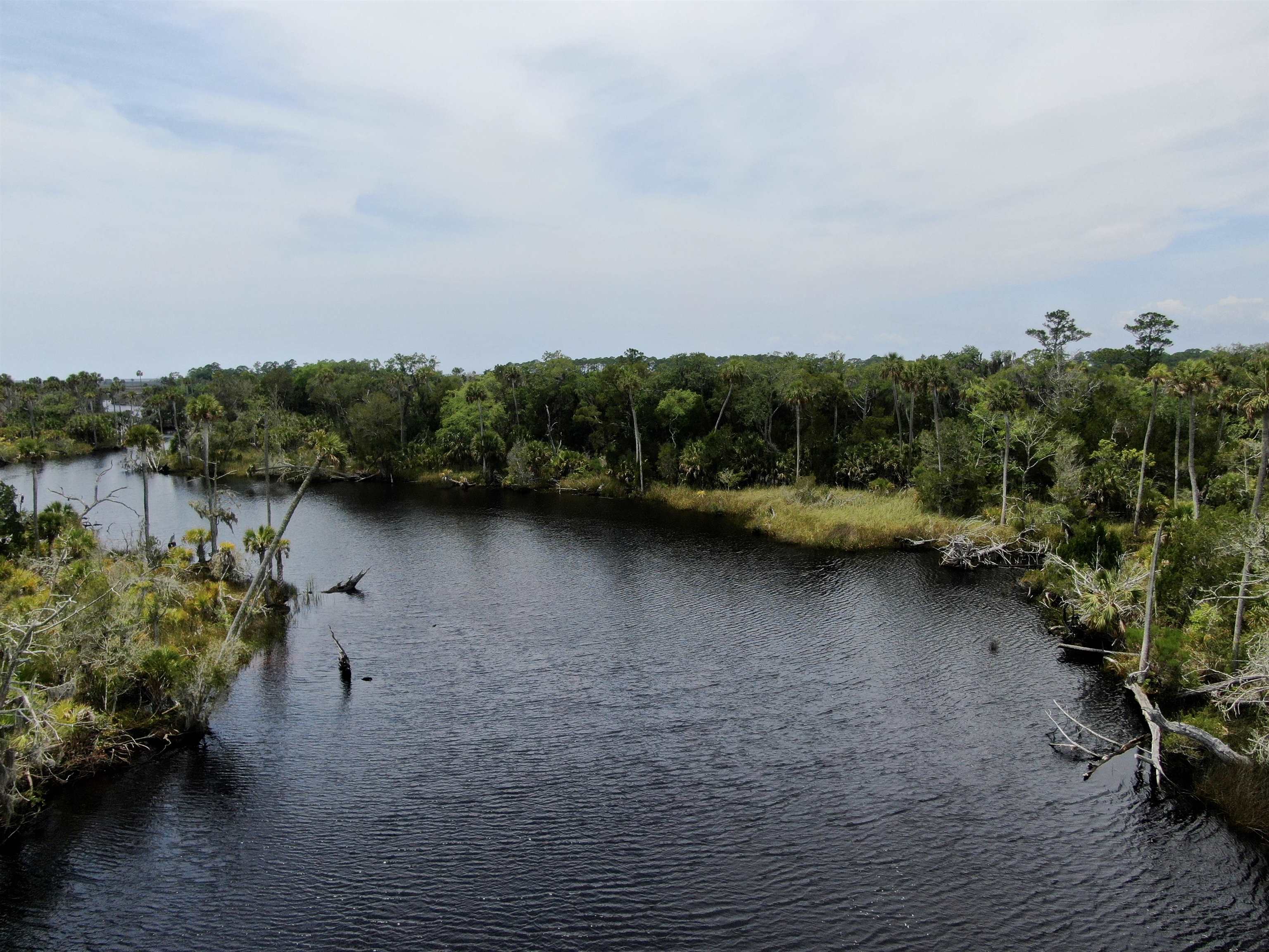 20000 Mossy Hammock Grade, Lamont, Florida image 24