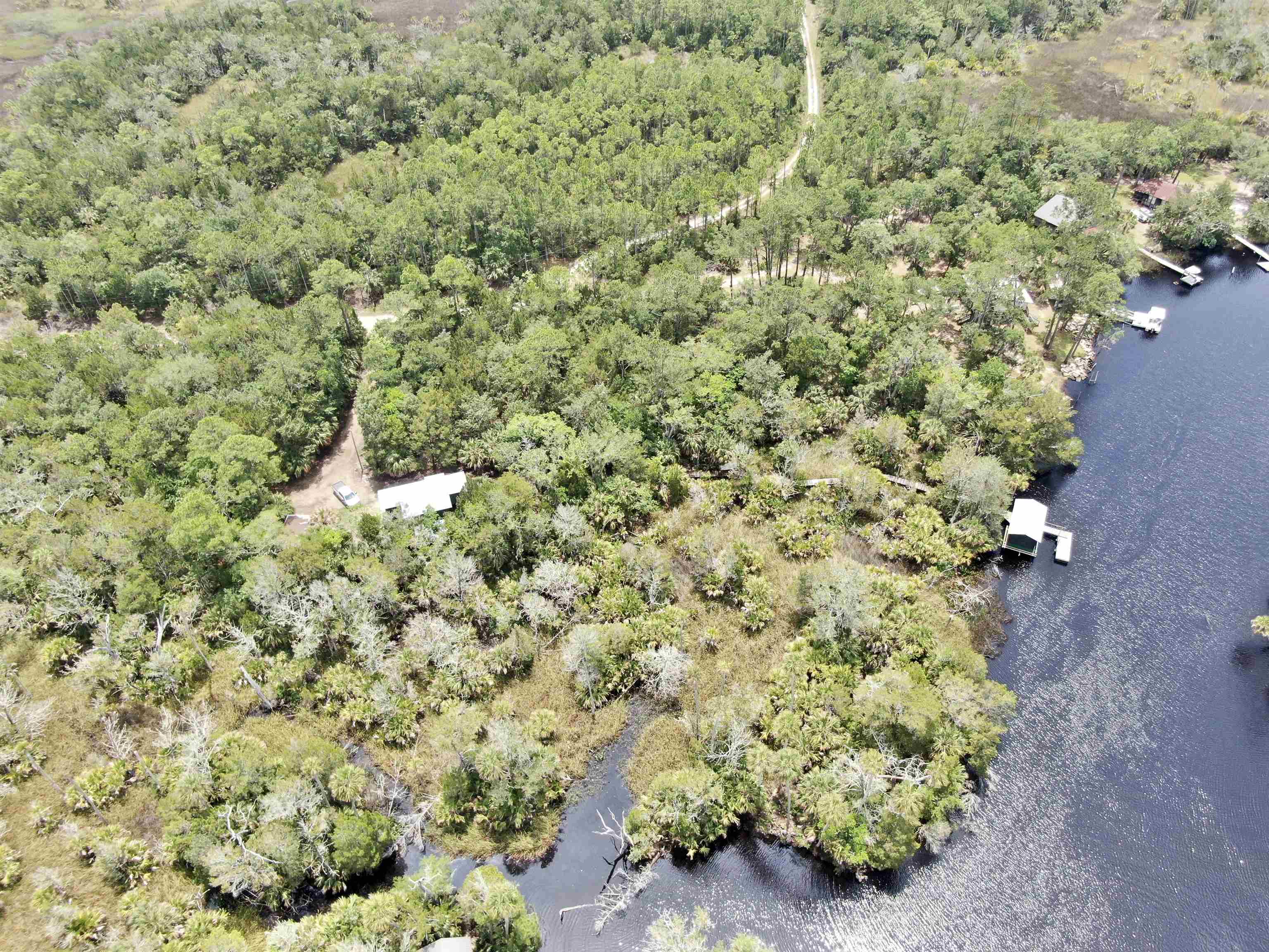 20000 Mossy Hammock Grade, Lamont, Florida image 25