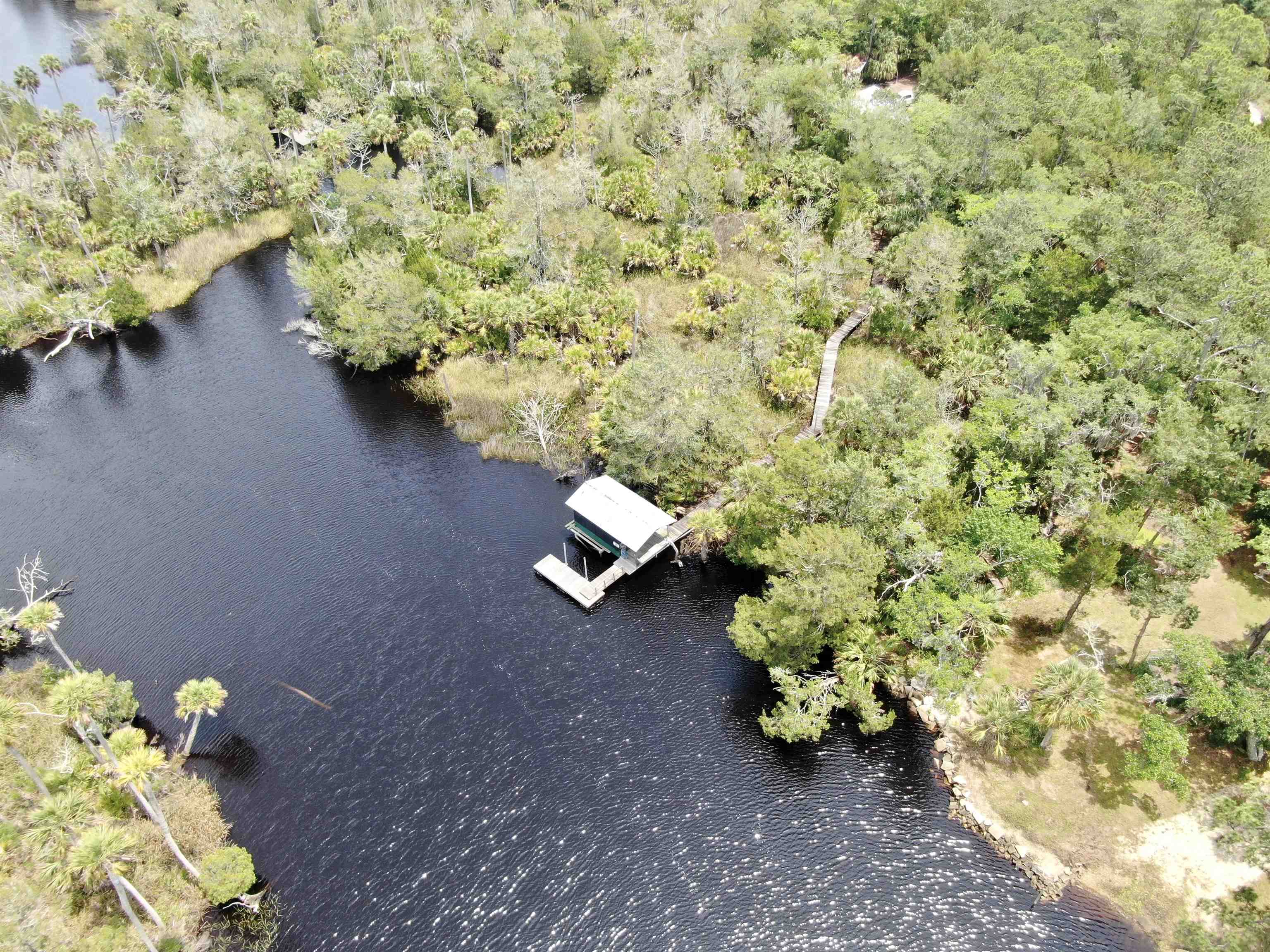 20000 Mossy Hammock Grade, Lamont, Florida image 26