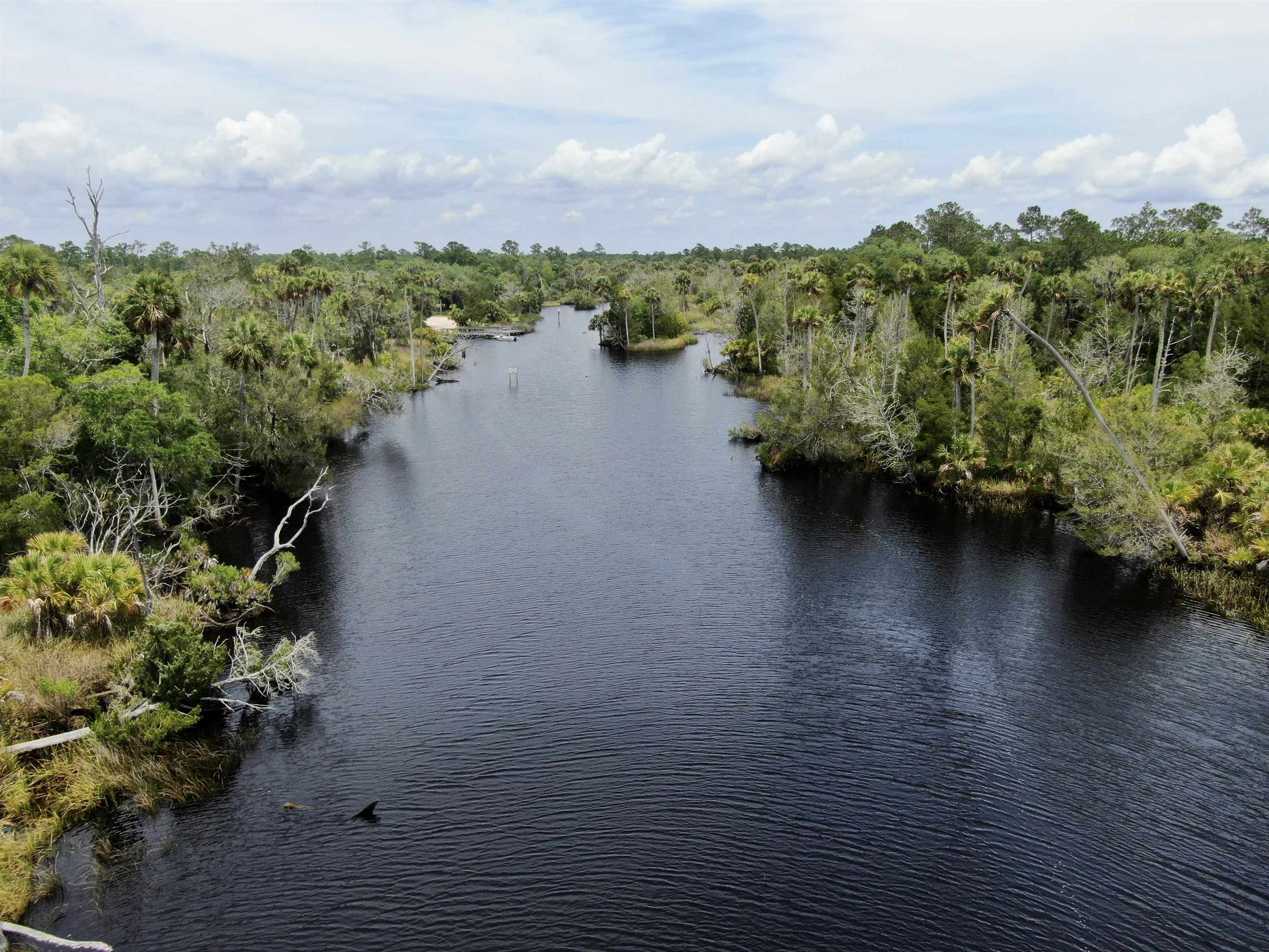 20000 Mossy Hammock Grade, Lamont, Florida image 28