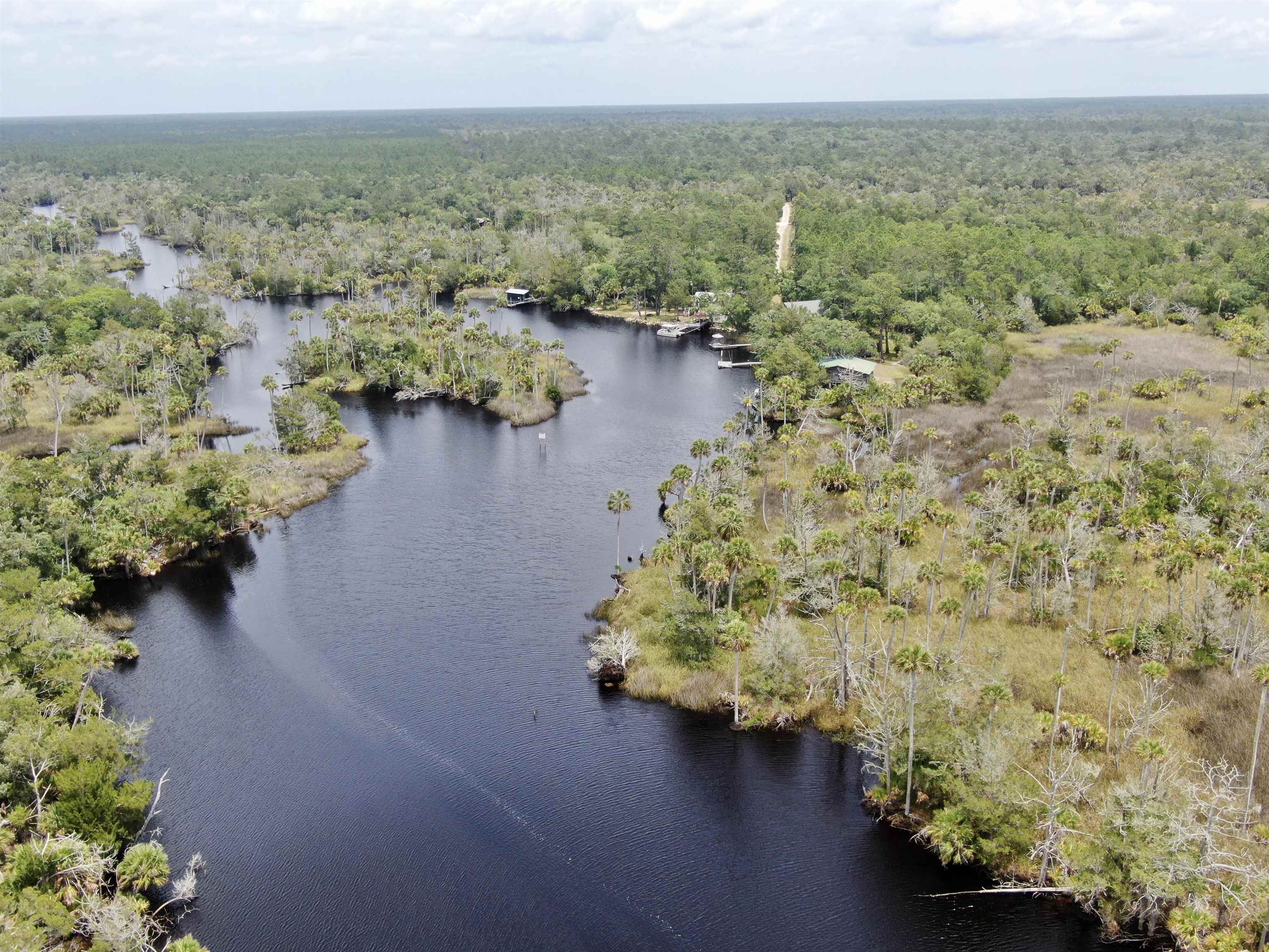 20000 Mossy Hammock Grade, Lamont, Florida image 29