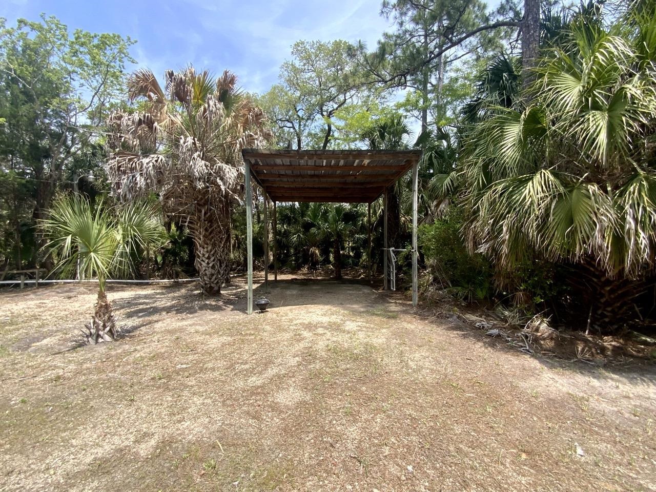 20000 Mossy Hammock Grade, Lamont, Florida image 5