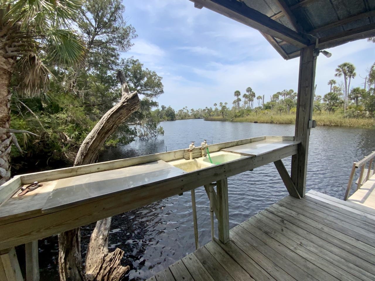 20000 Mossy Hammock Grade, Lamont, Florida image 9