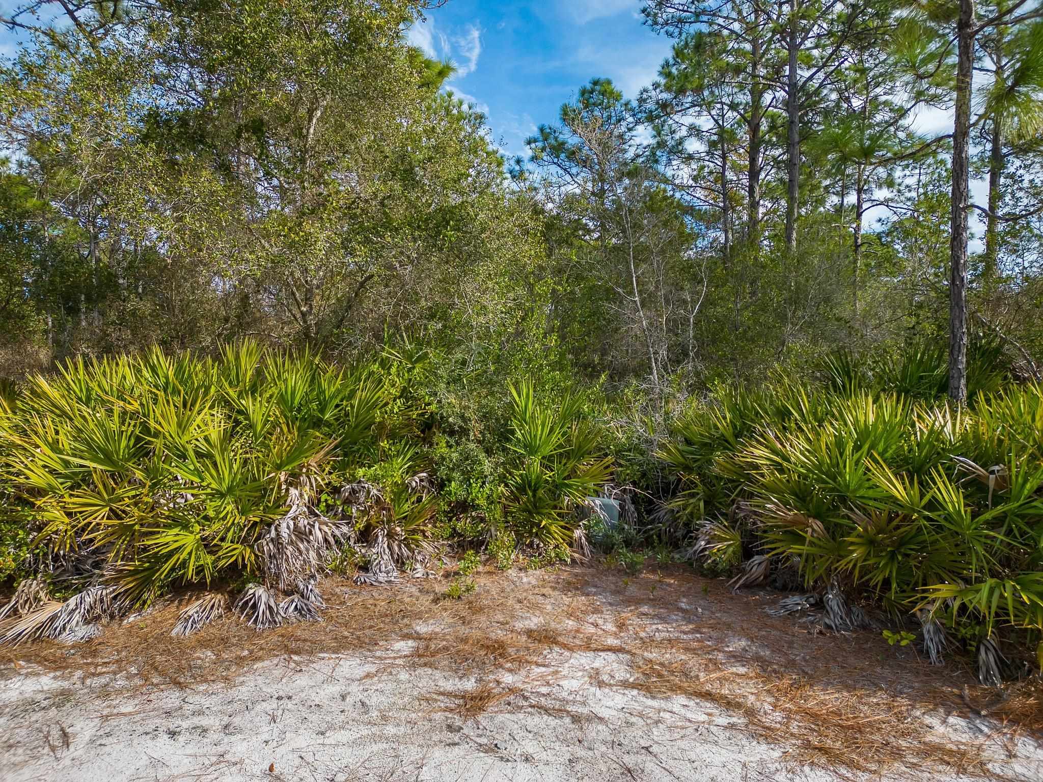 206 Royal Tern Way, CARRABELLE, Florida image 11