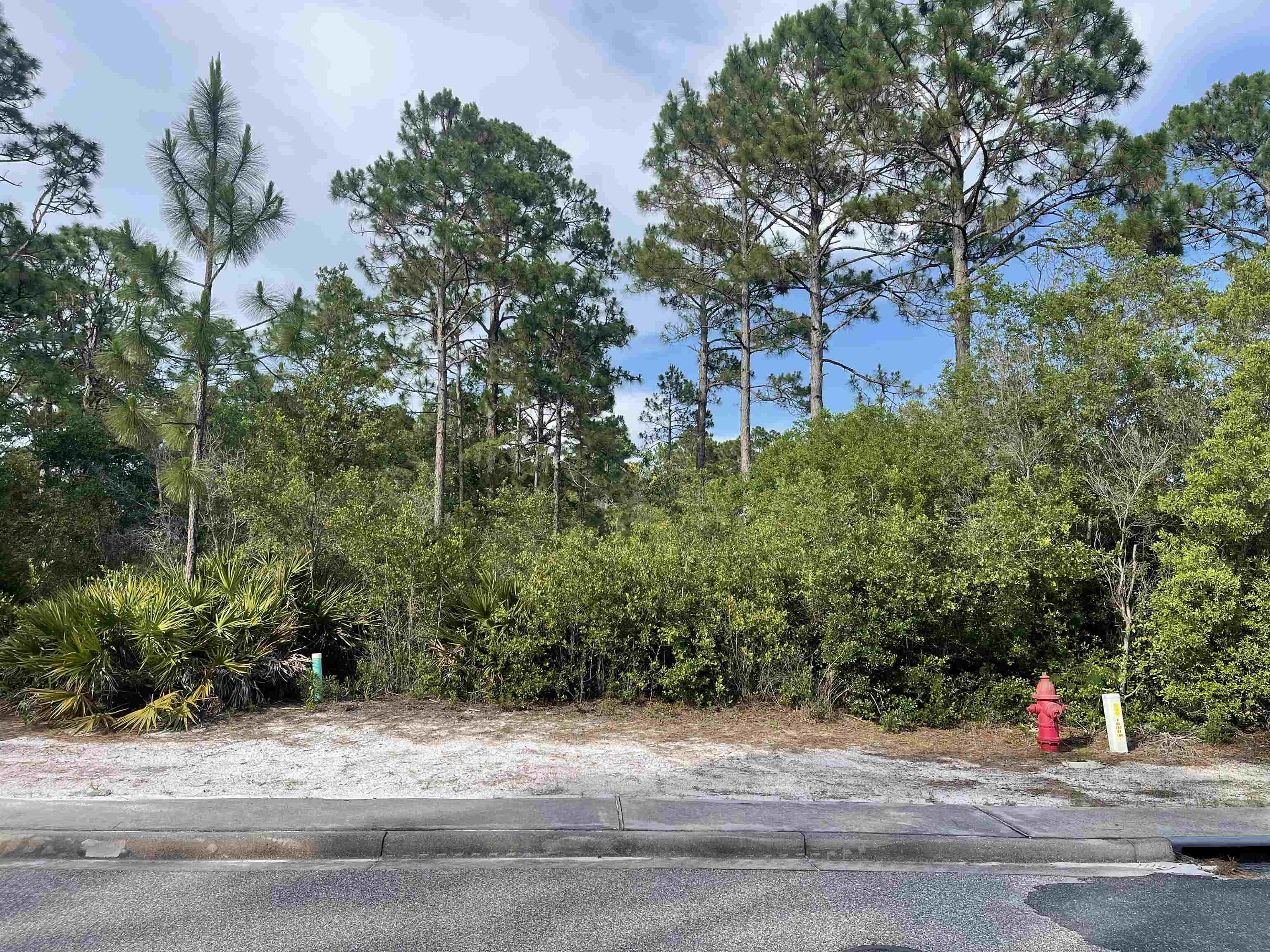 206 Royal Tern Way, CARRABELLE, Florida image 12