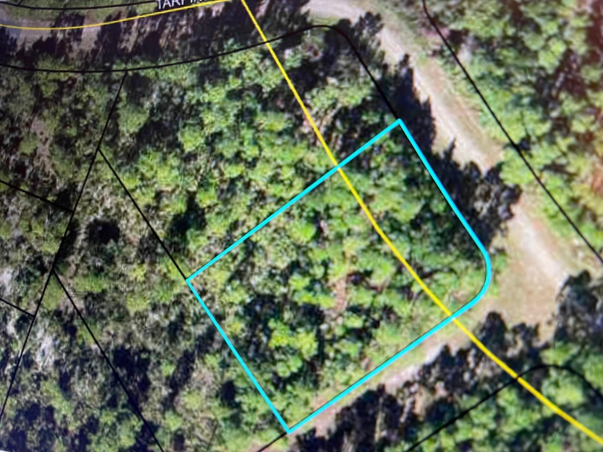 XX Warbird Circle, Panacea, Florida image 3