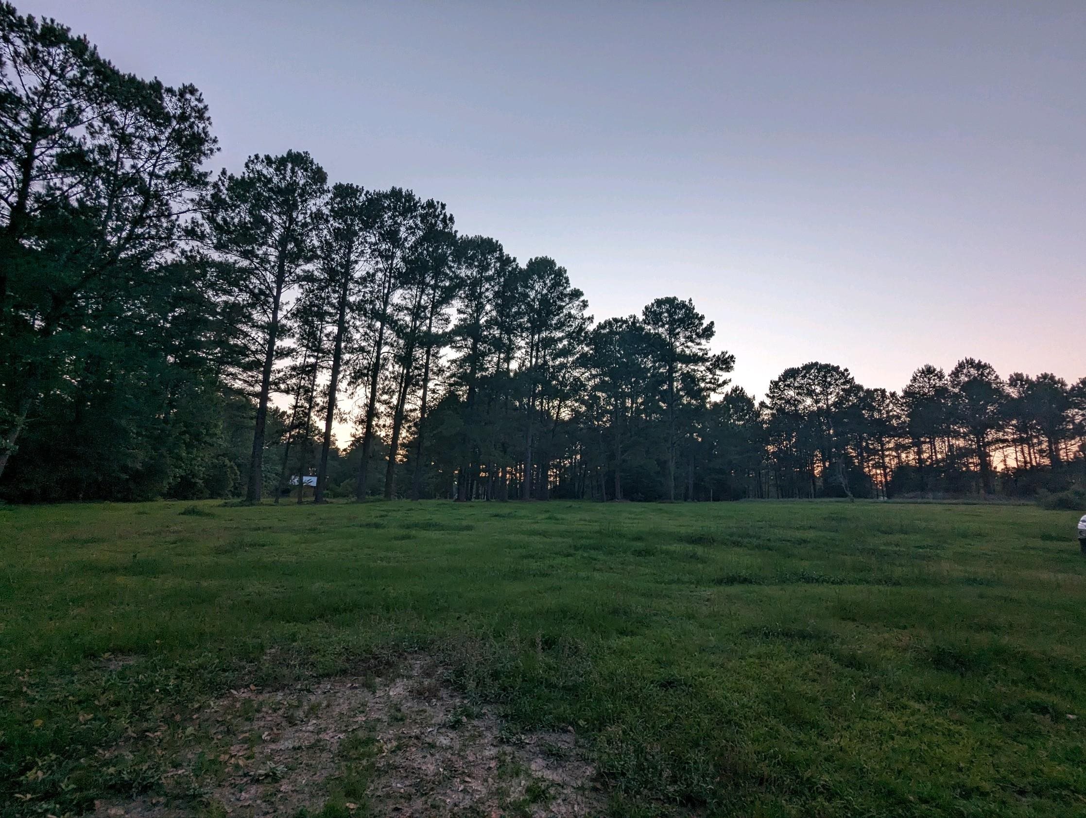 1447 Deer Run Road, HAVANA, Florida image 8