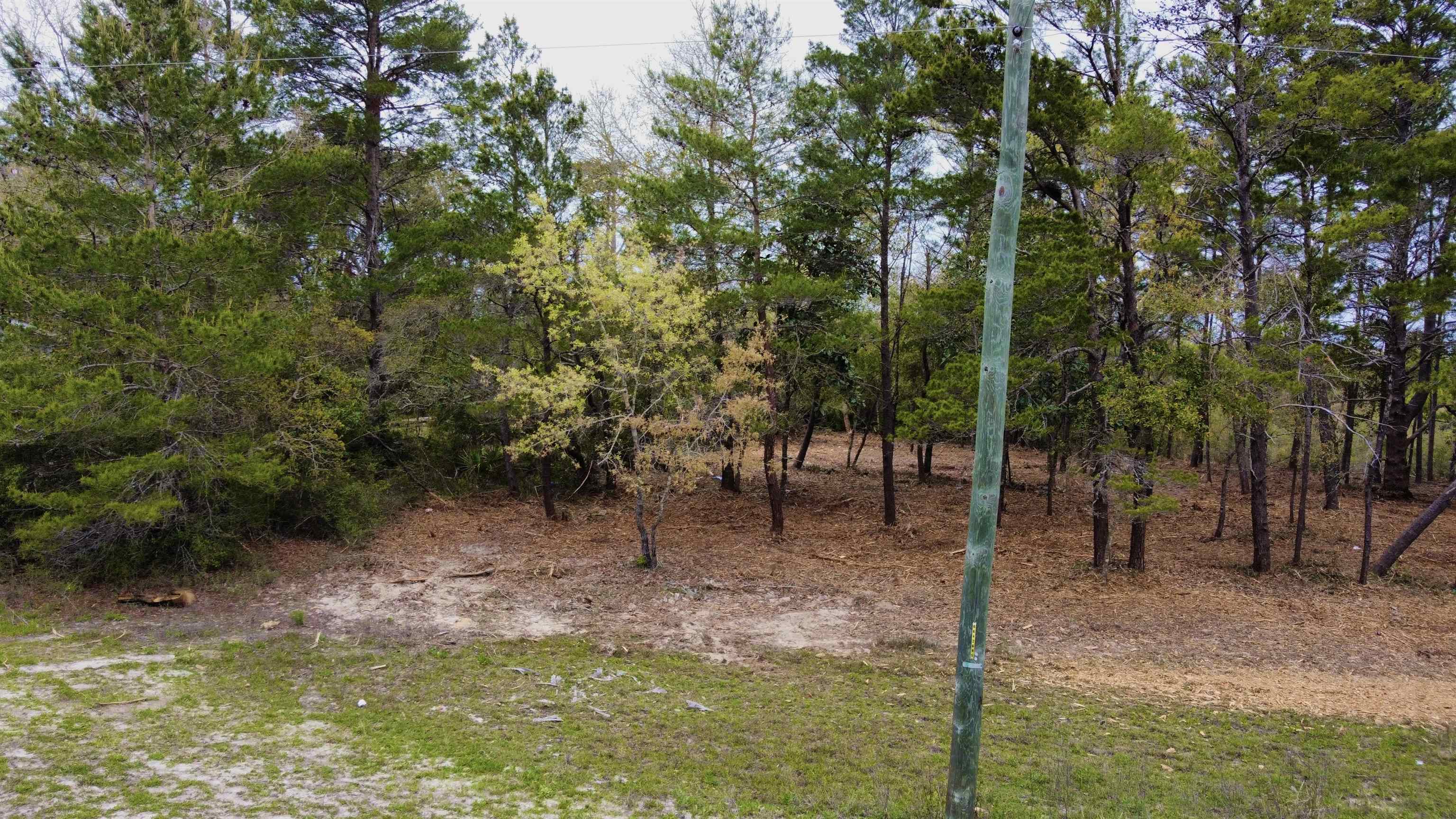 Lot 72 And 73 Oak Street, CARRABELLE, Florida image 10