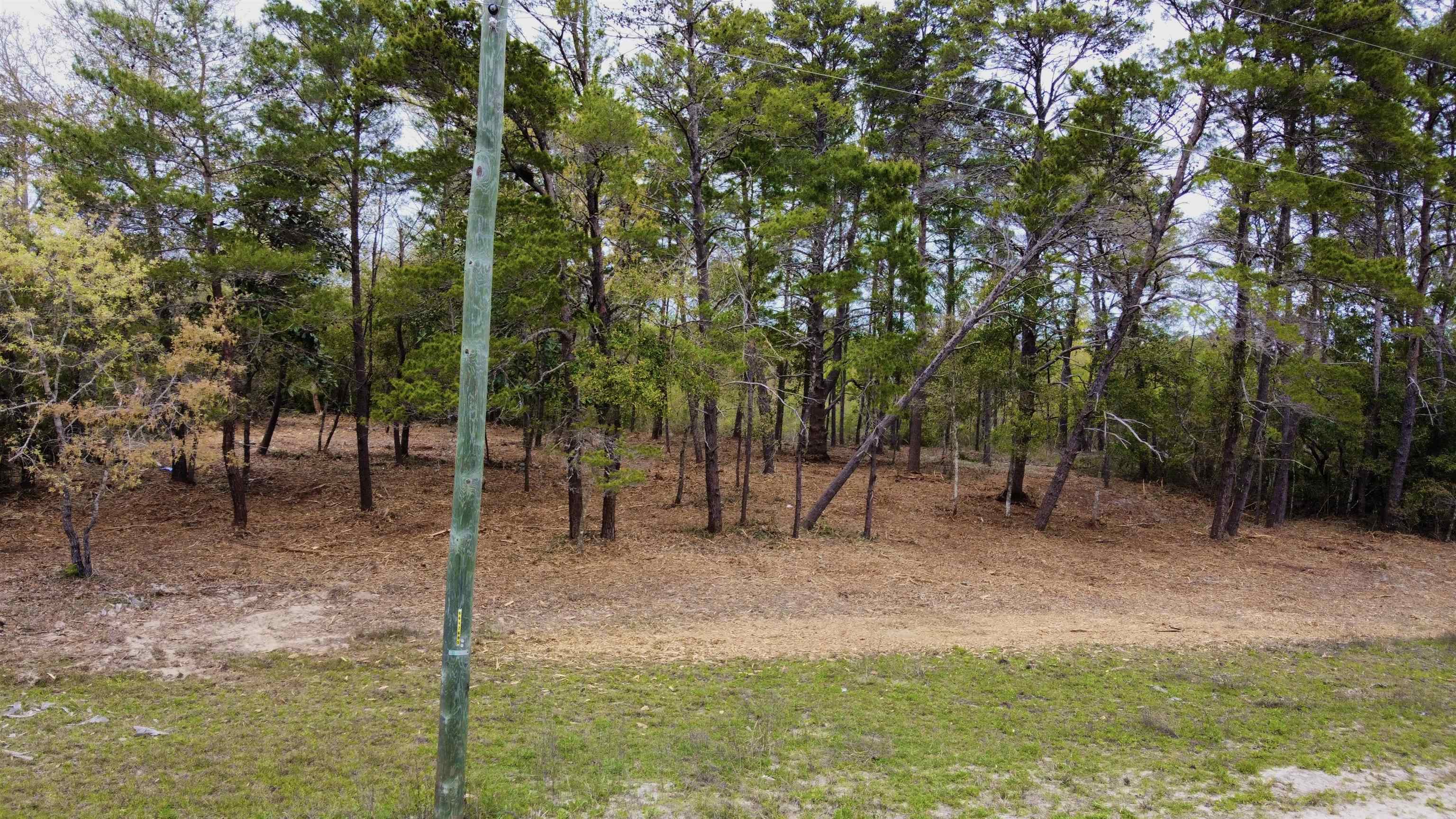 Lot 72 And 73 Oak Street, CARRABELLE, Florida image 11