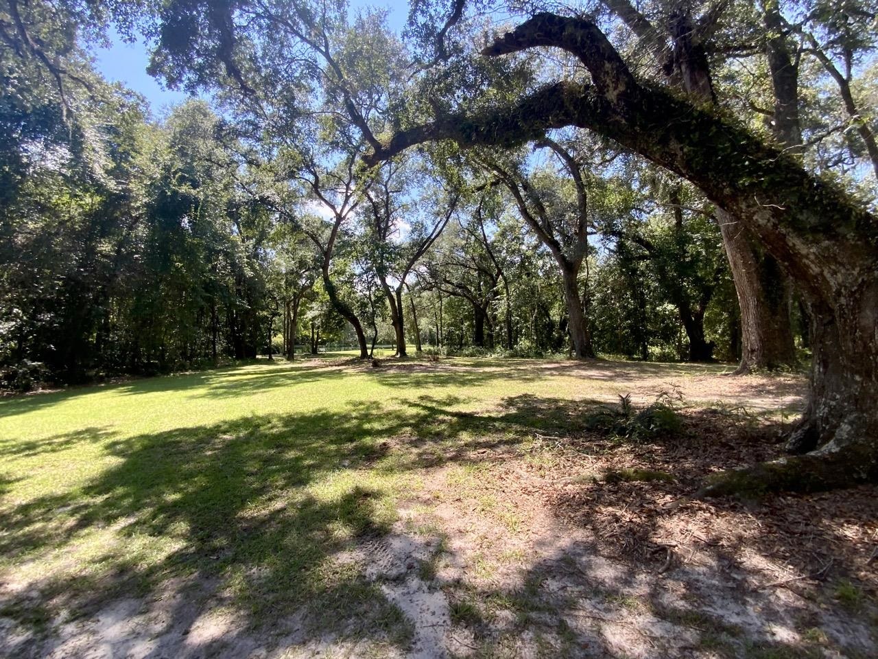 1710 NW Ebenezer Church Road, Madison, Florida image 9