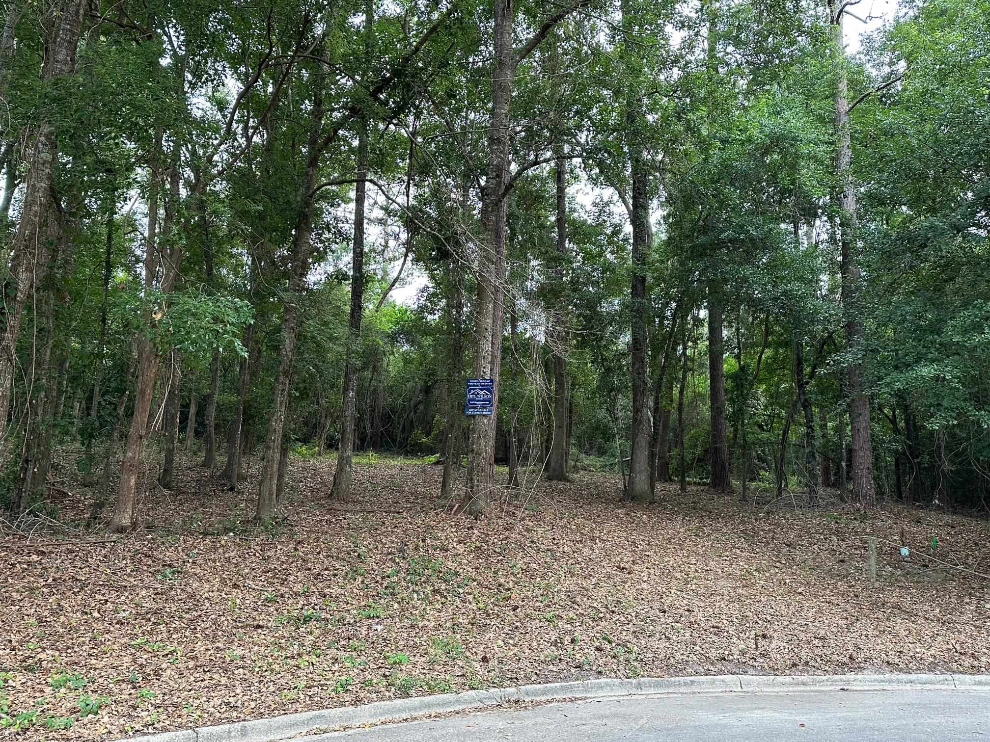 1327 W Constitution Place, Tallahassee, Florida image 2