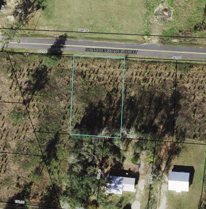 XX NW Azalea Lot 6 Street, BRISTOL, Florida image 1