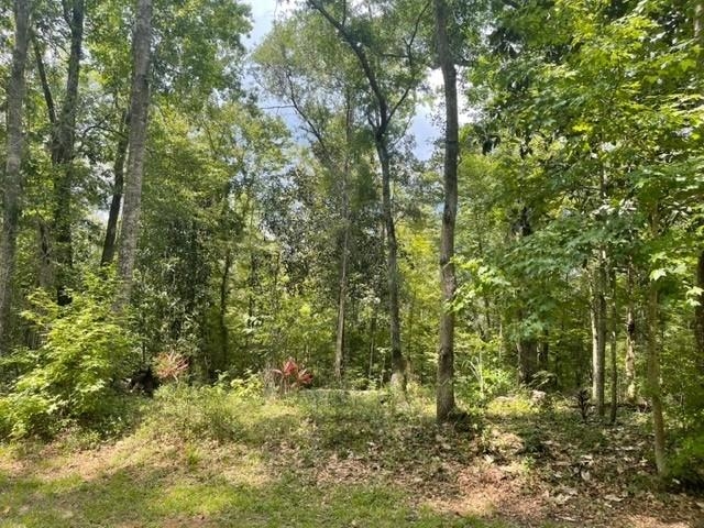 Lot 14 Crestwood Drive, Tallahassee, Florida image 2
